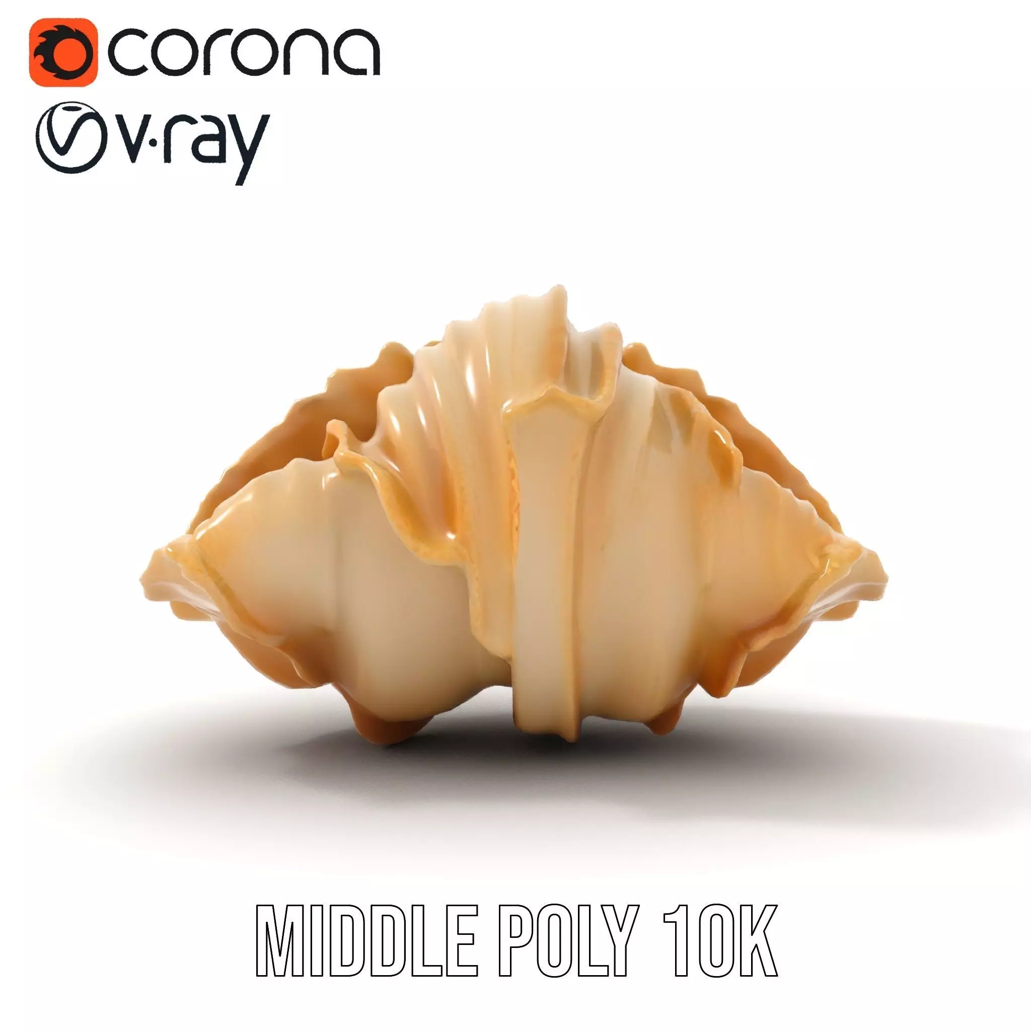 Elegant Seashell Texture model pack Low-poly 3D model_11