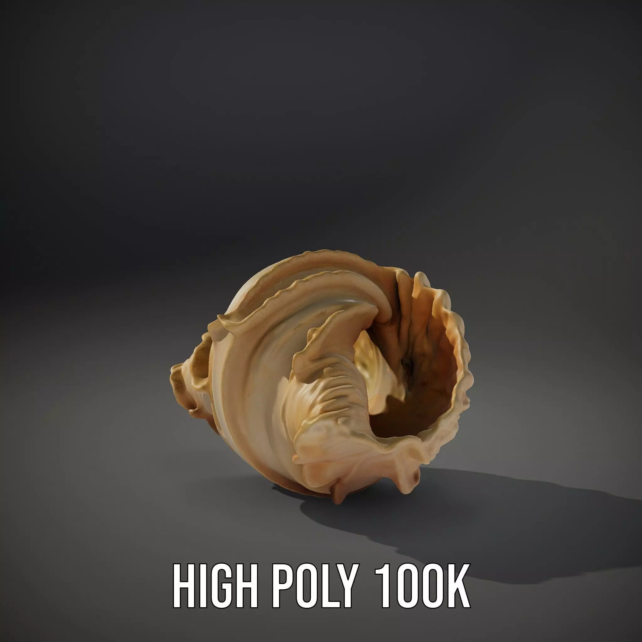 Elegant Seashell Texture model pack Low-poly 3D model_10