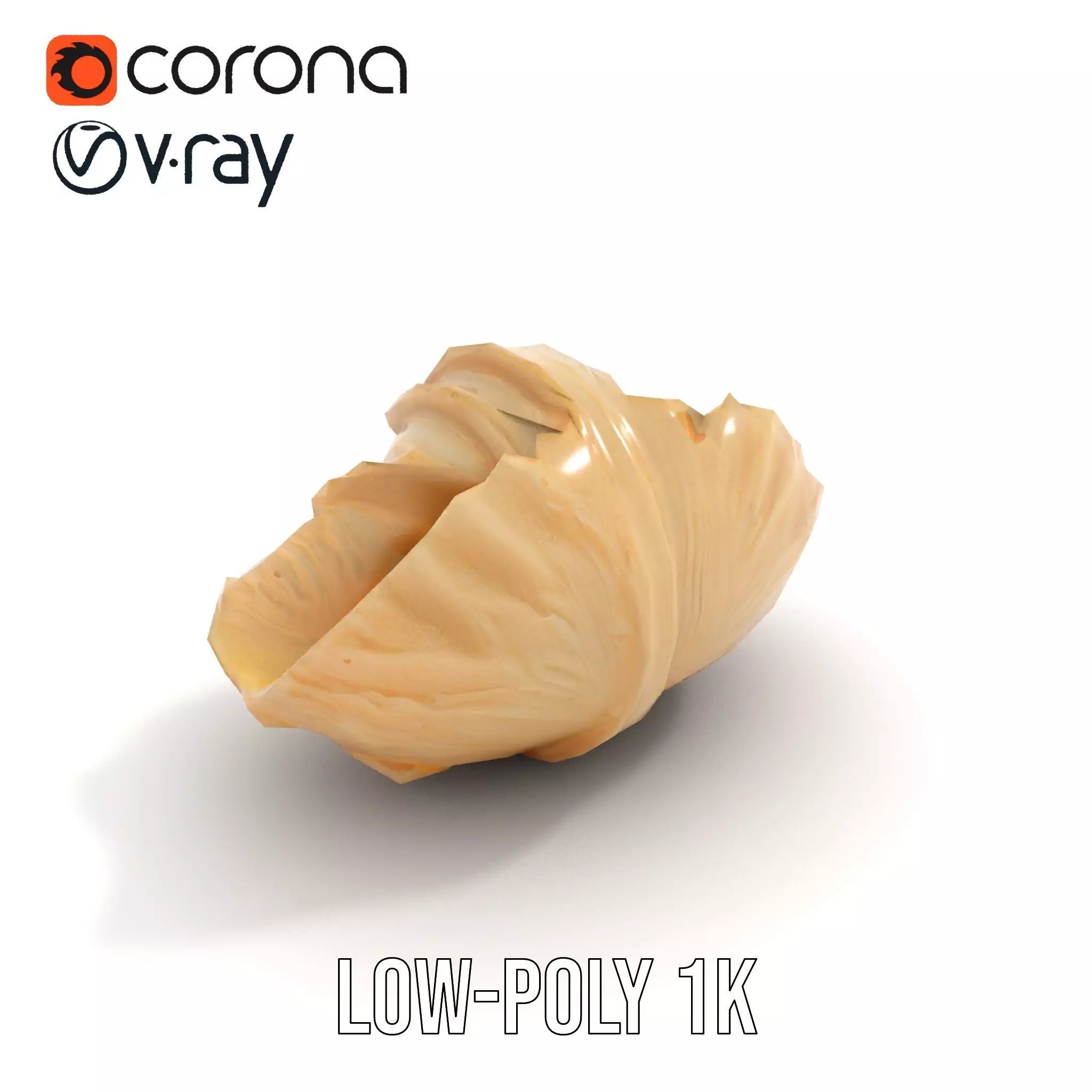 Elegant Seashell Texture model pack Low-poly 3D model_12