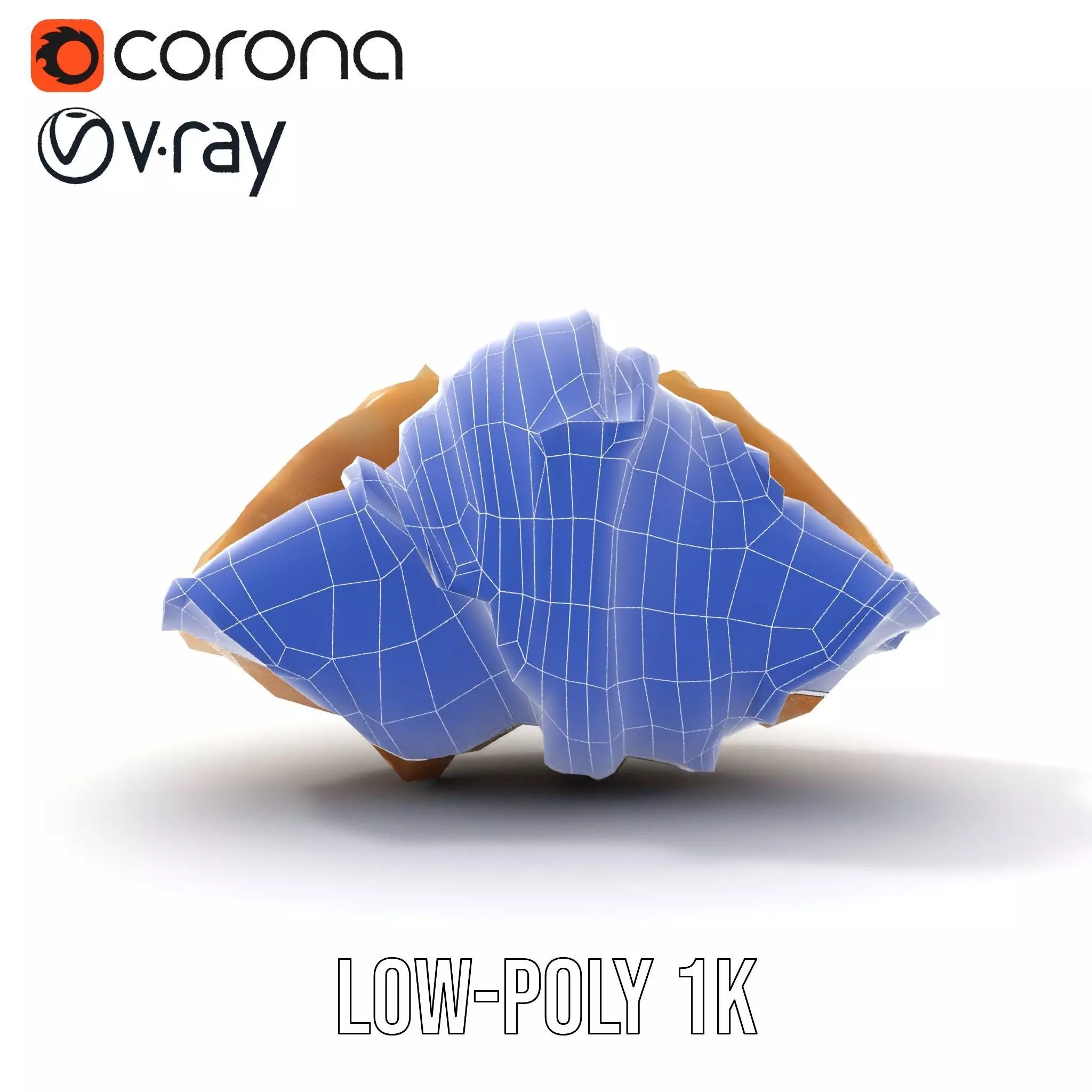 Elegant Seashell Texture model pack Low-poly 3D model_14