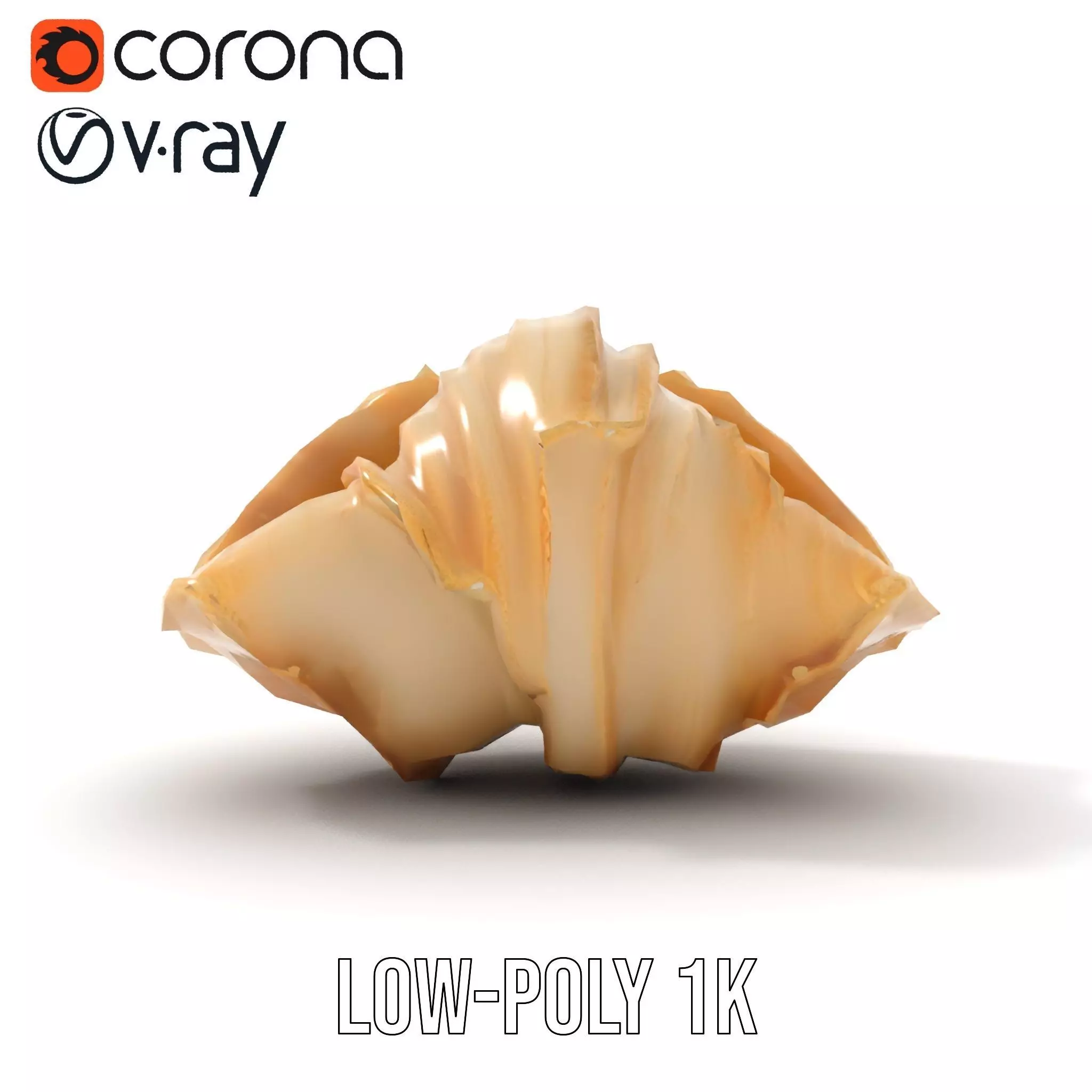 Elegant Seashell Texture model pack Low-poly 3D model_22