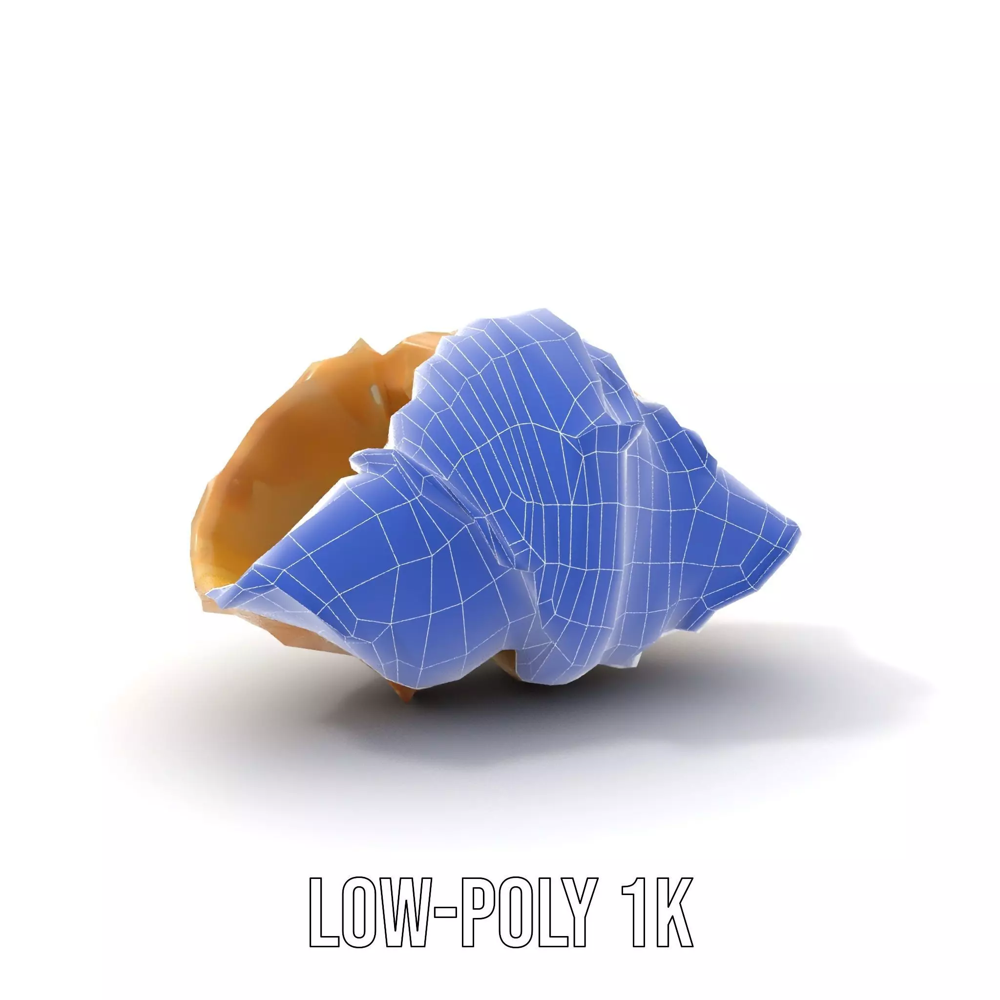 Elegant Seashell Texture model pack Low-poly 3D model_19