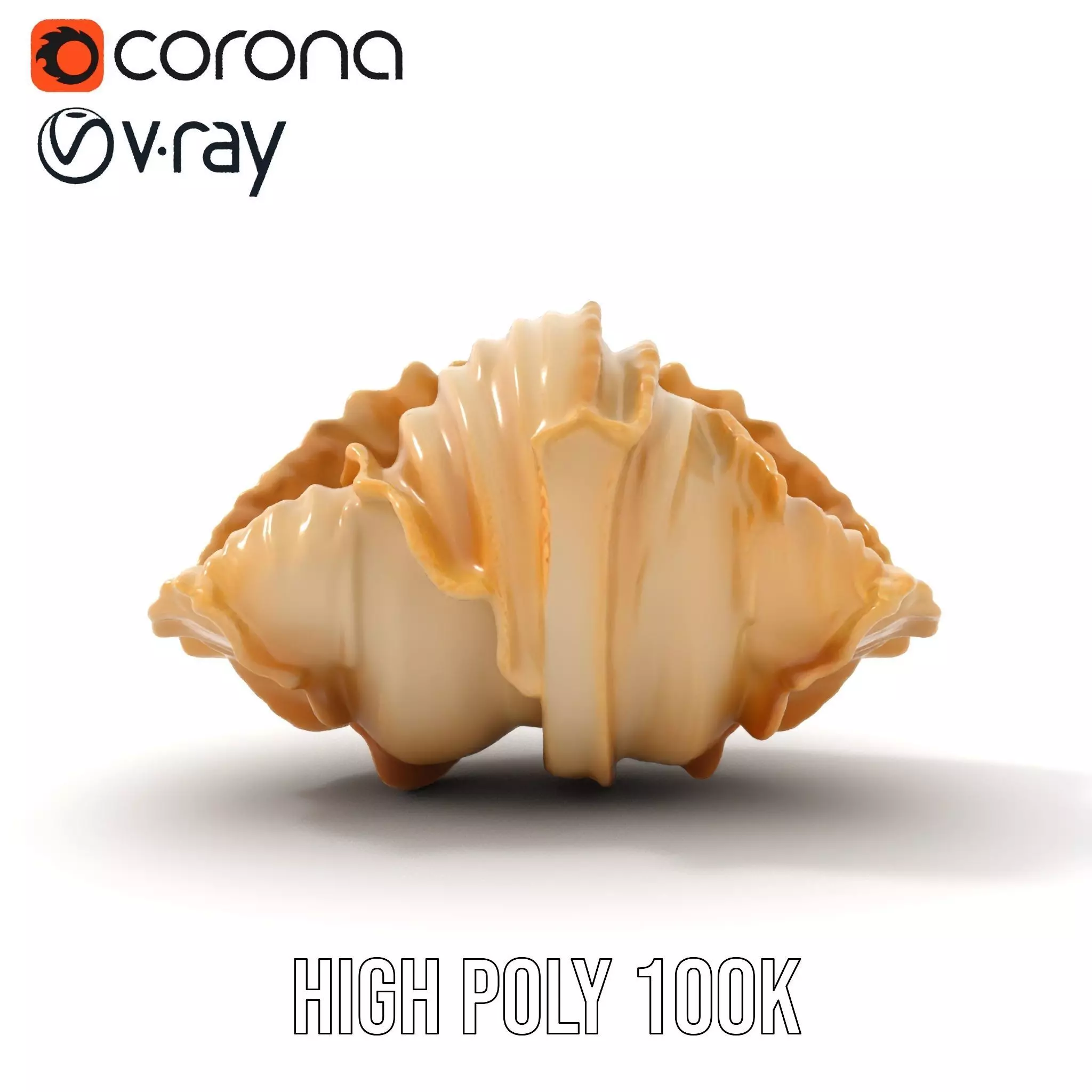 Elegant Seashell Texture model pack Low-poly 3D model_23