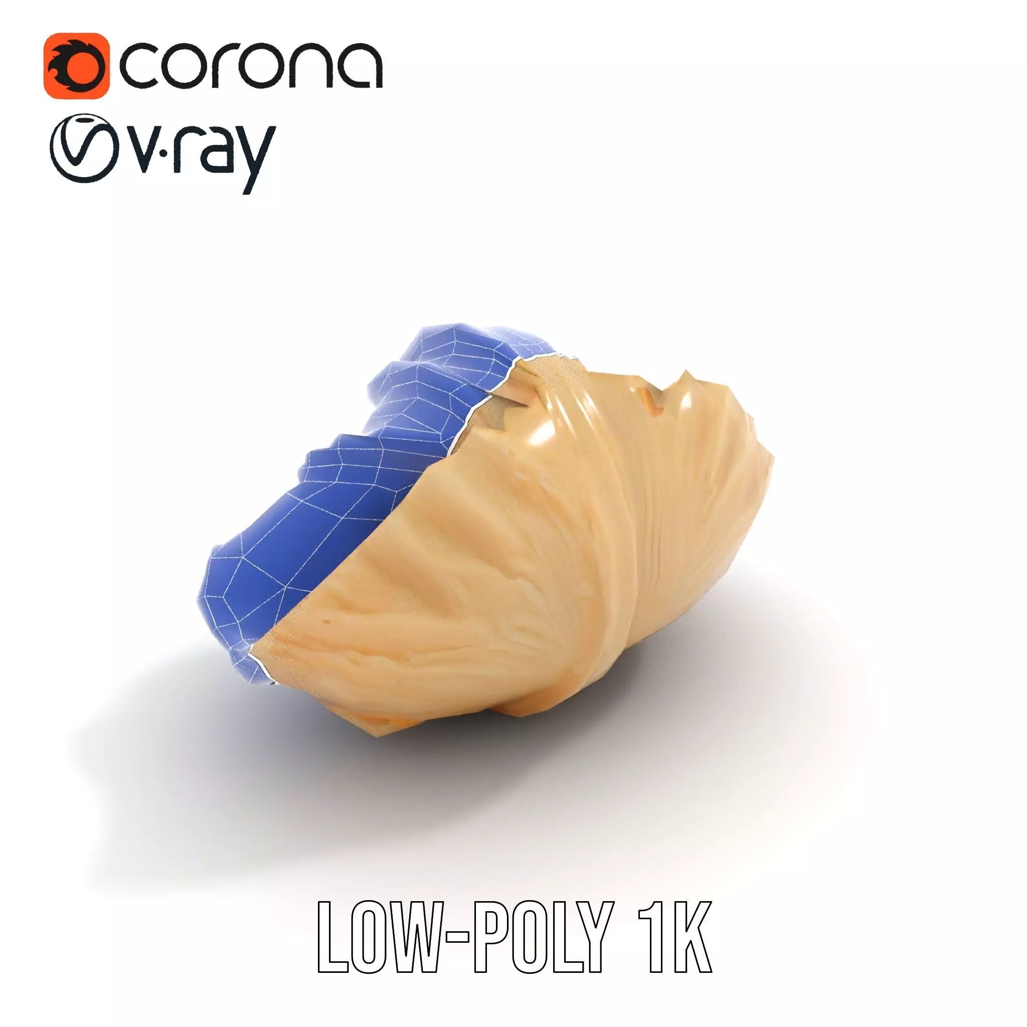 Elegant Seashell Texture model pack Low-poly 3D model_30