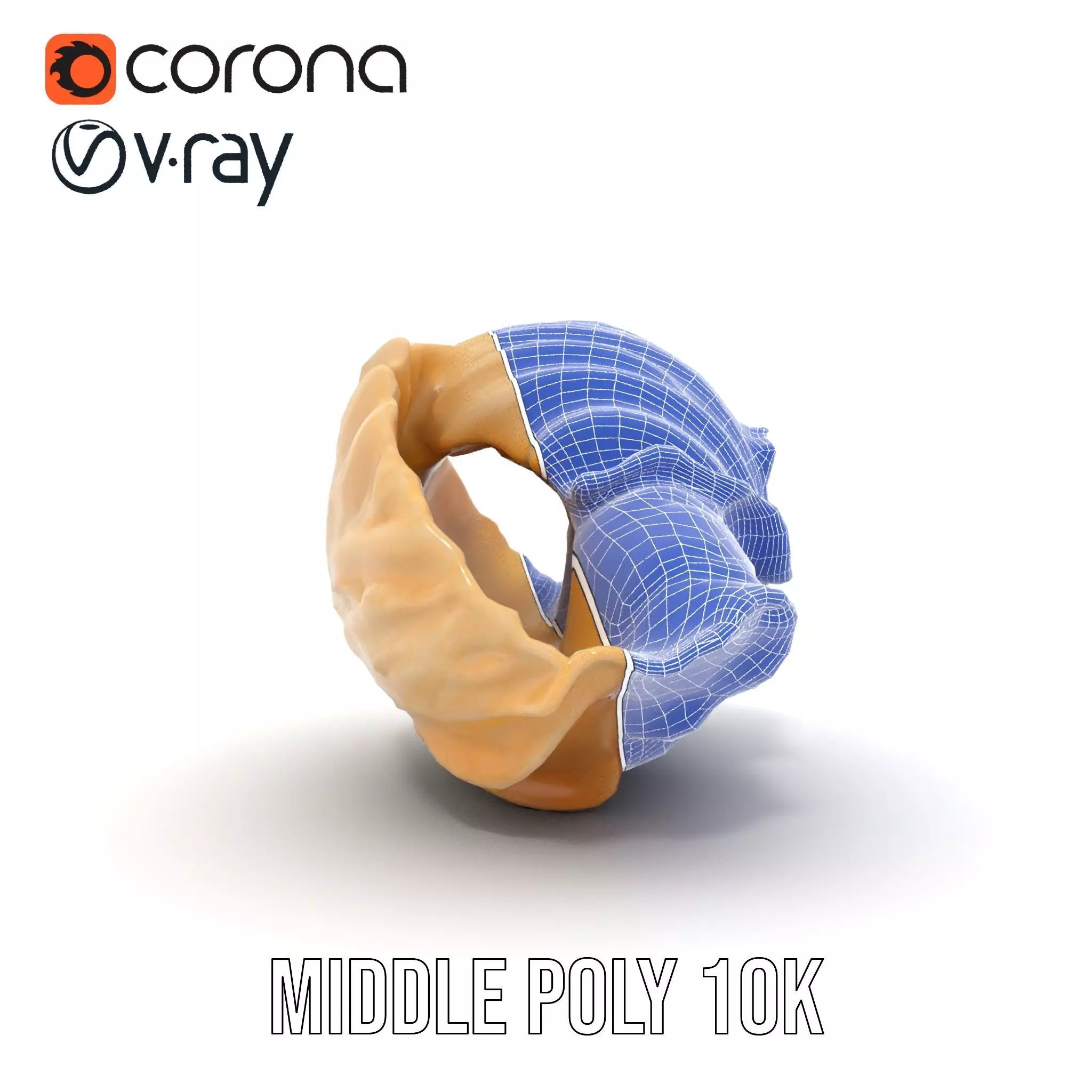 Elegant Seashell Texture model pack Low-poly 3D model_21