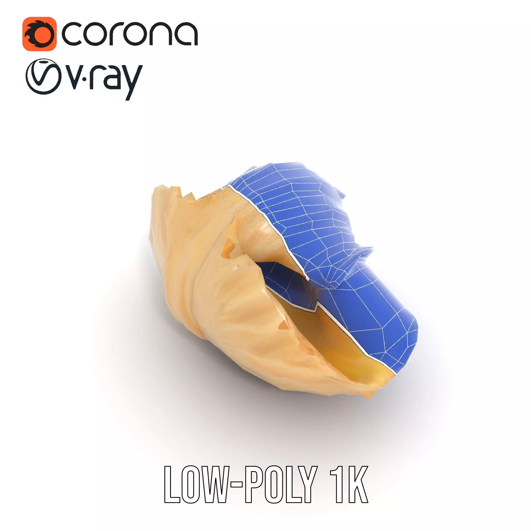 Elegant Seashell Texture model pack Low-poly 3D model_9
