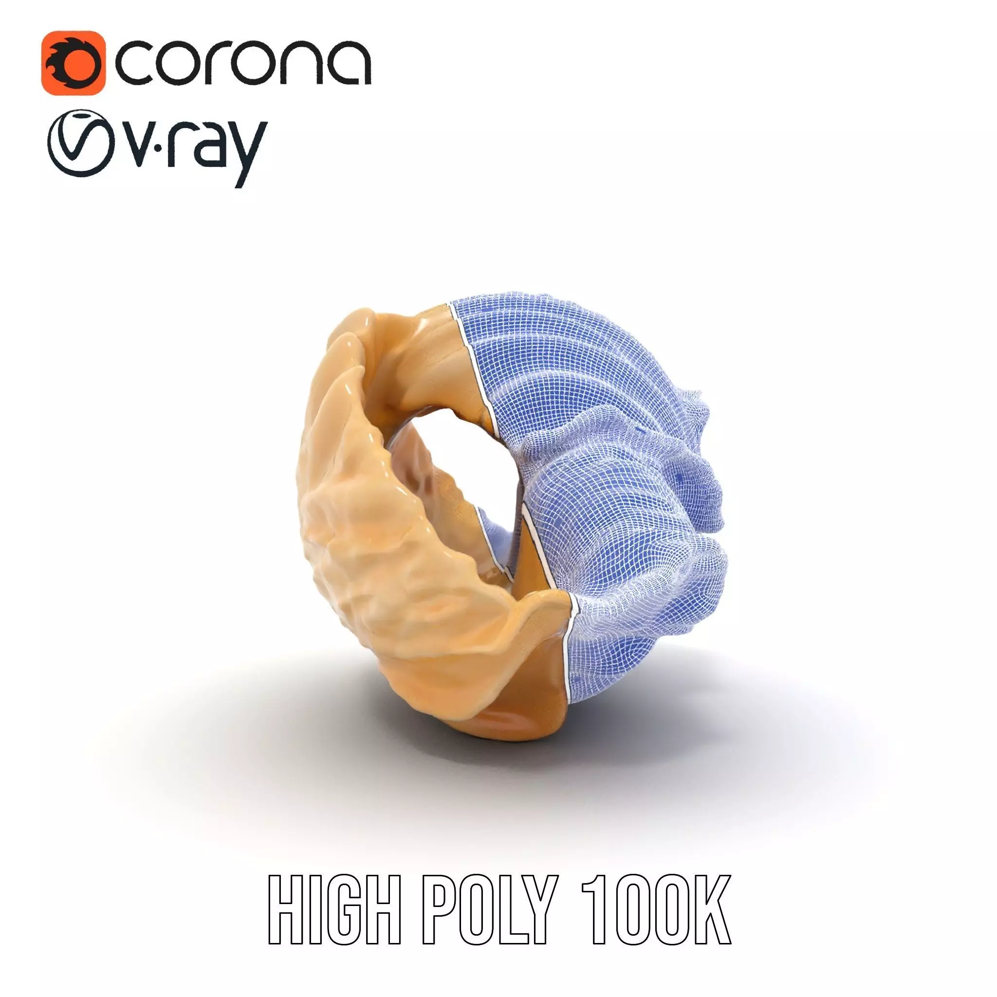 Elegant Seashell Texture model pack Low-poly 3D model_33