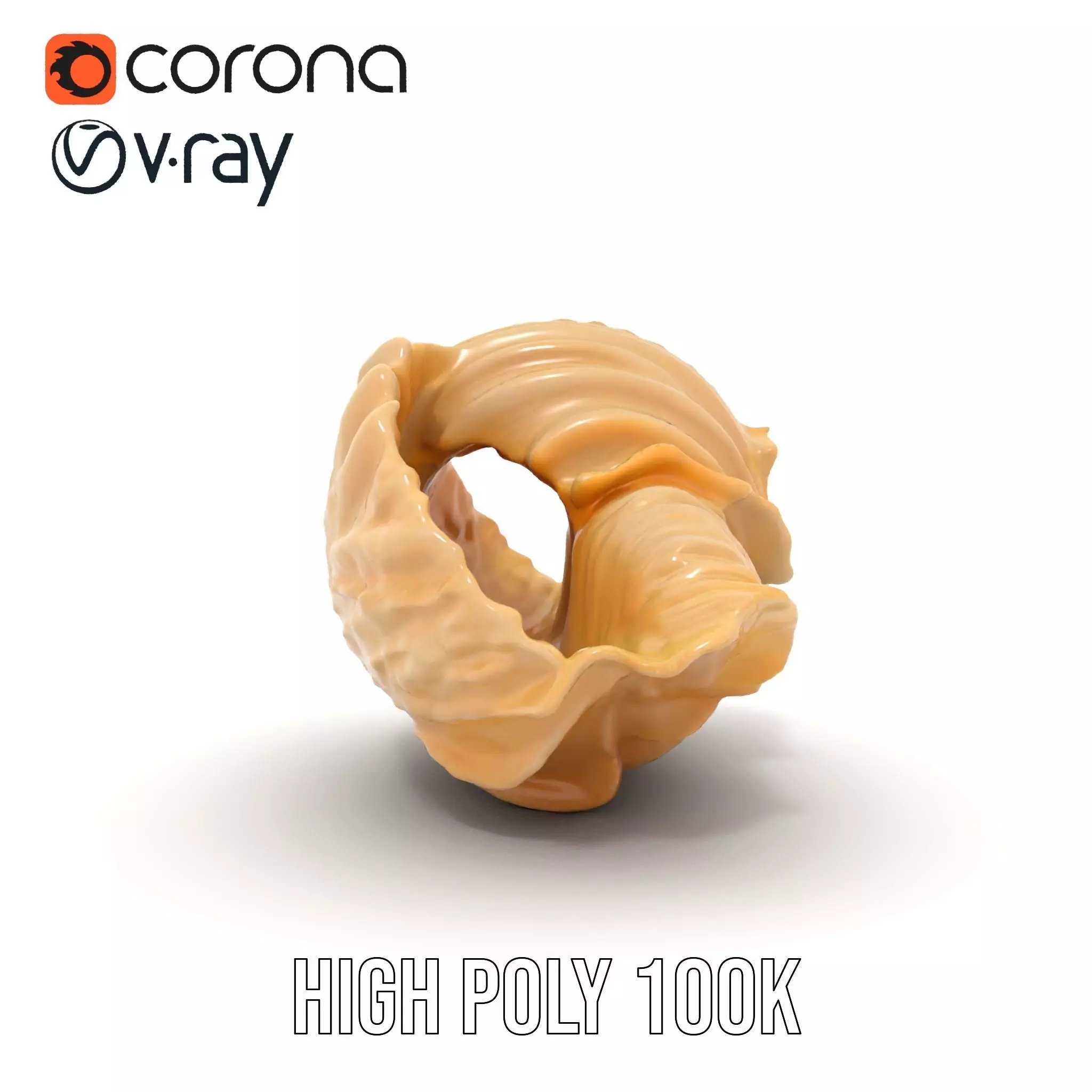 Elegant Seashell Texture model pack Low-poly 3D model_20