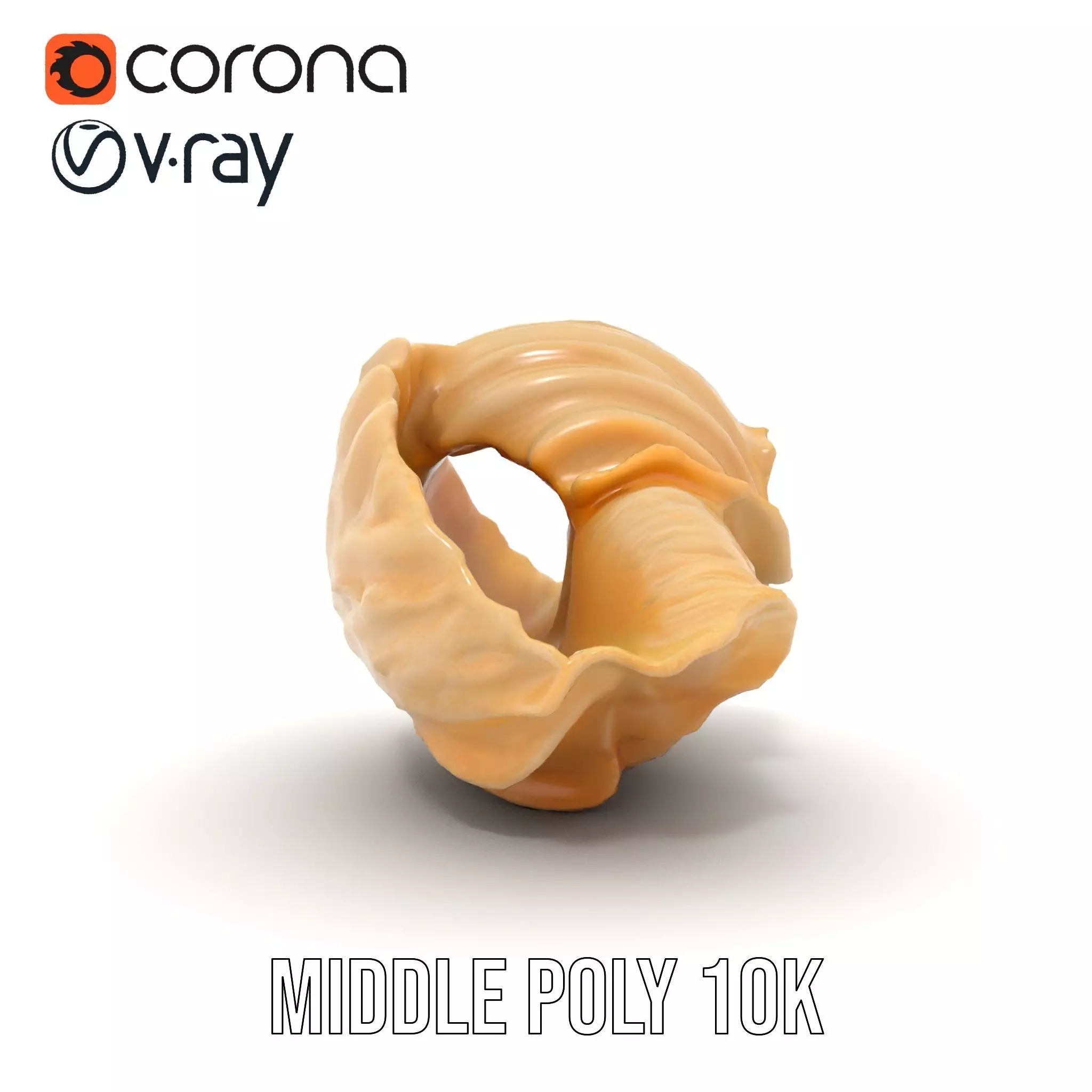 Elegant Seashell Texture model pack Low-poly 3D model_26