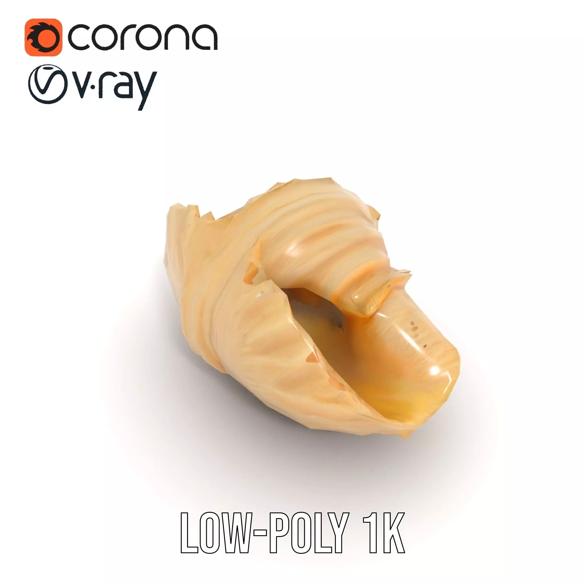 Elegant Seashell Texture model pack Low-poly 3D model_25