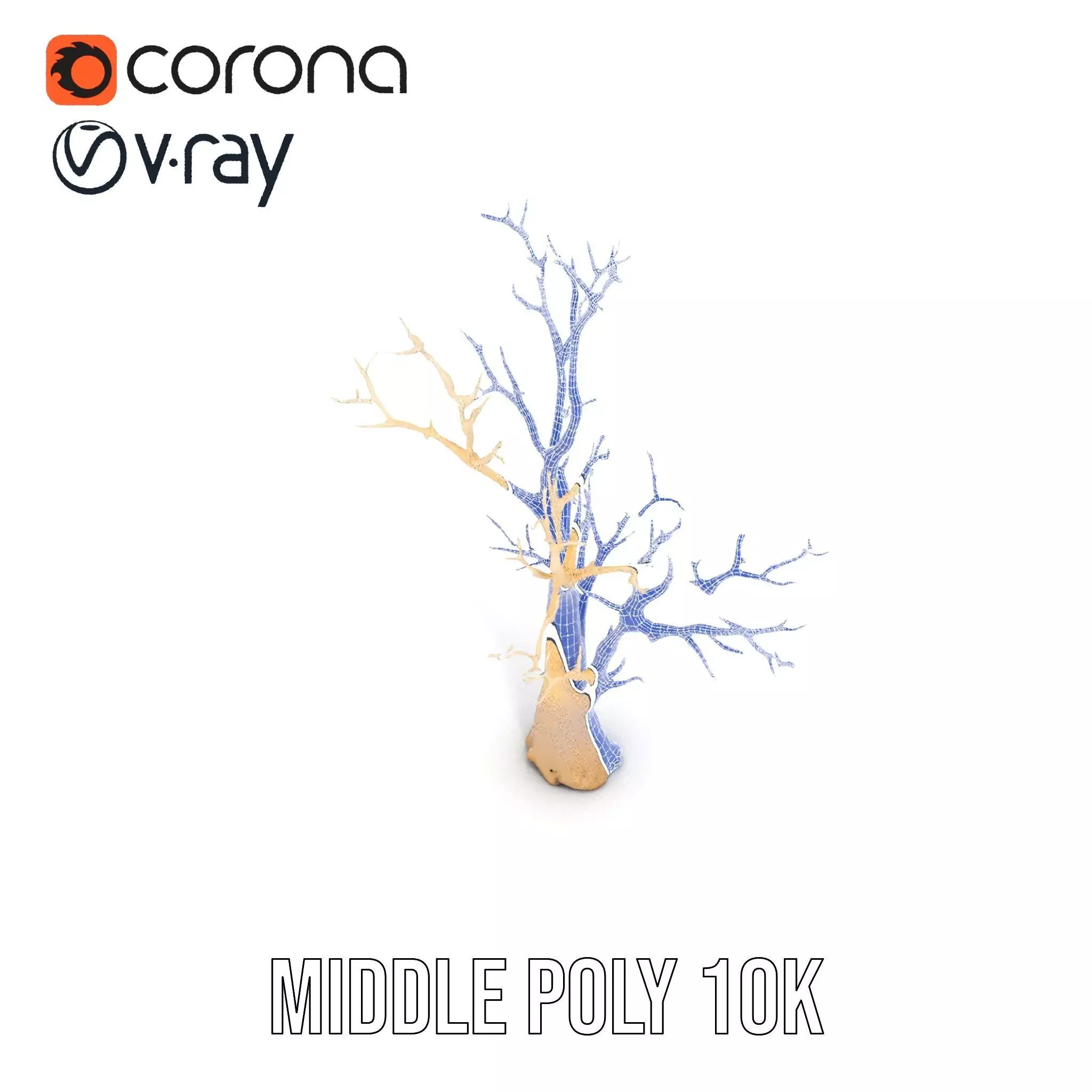 Elegant Coral Tree model pack Low-poly 3D model_27