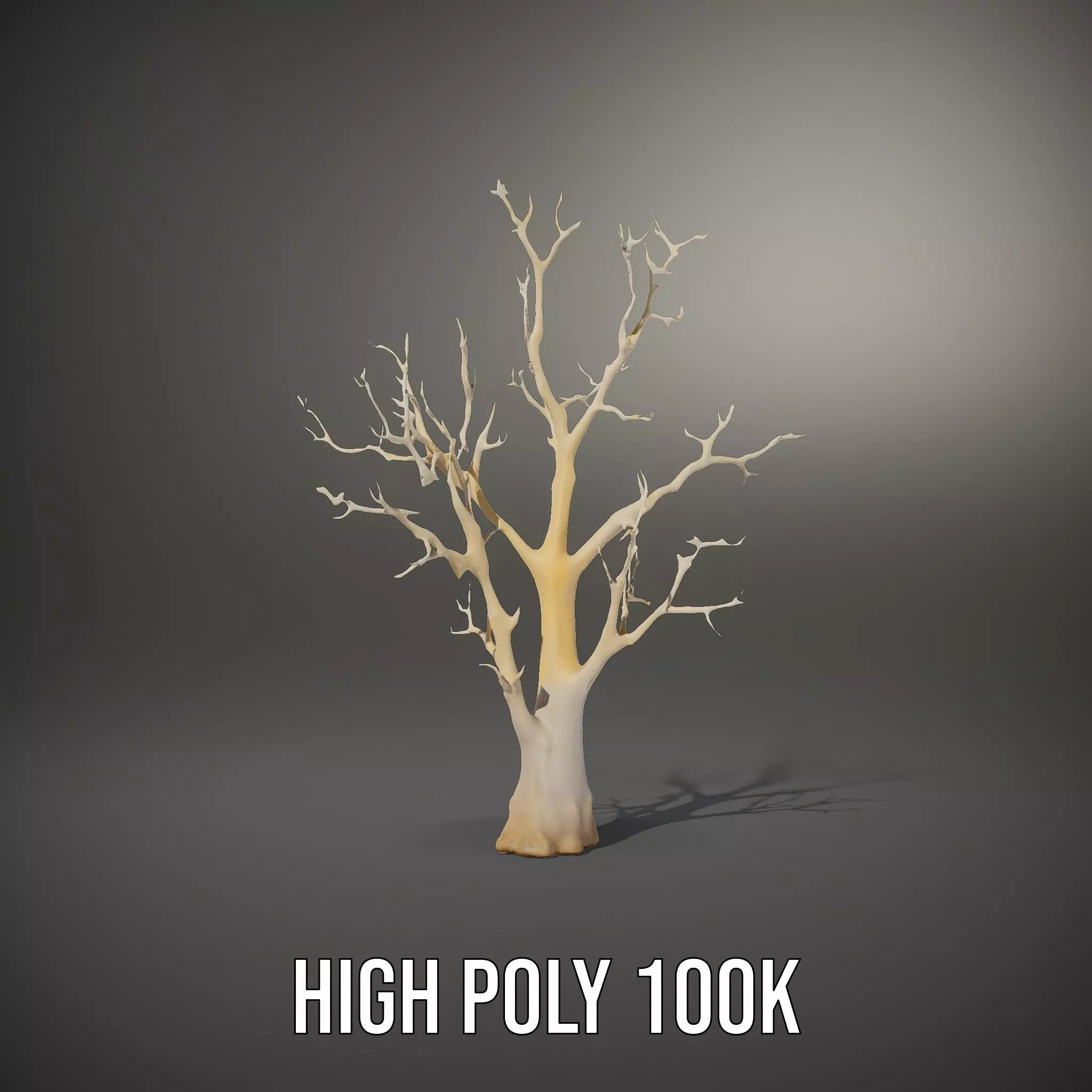 Elegant Coral Tree model pack Low-poly 3D model_10