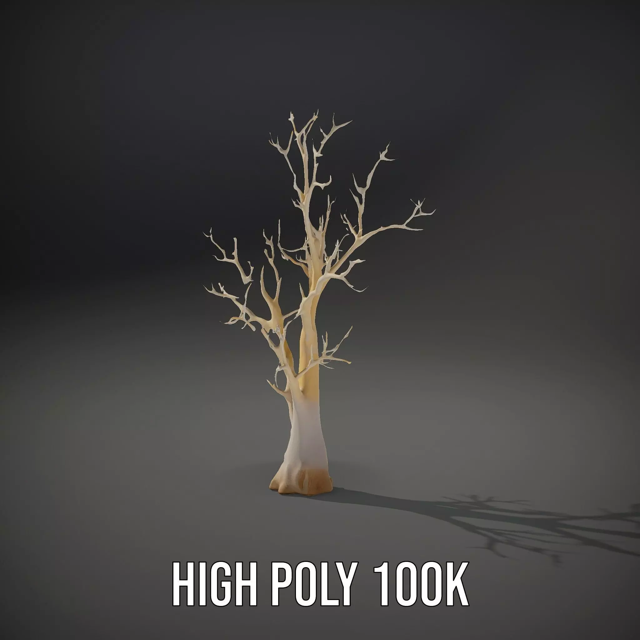 Elegant Coral Tree model pack Low-poly 3D model_8