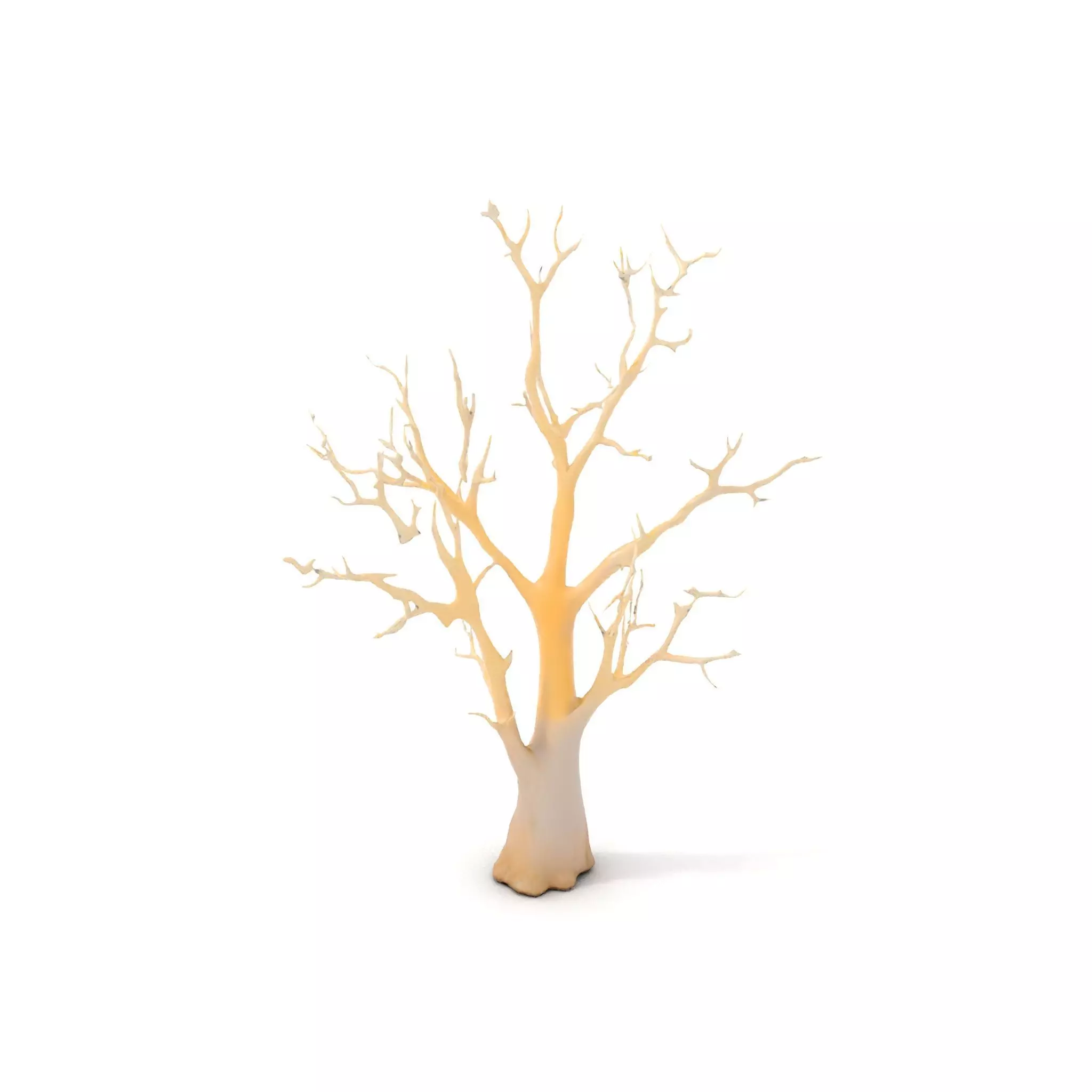 Elegant Coral Tree model pack Low-poly 3D model_6