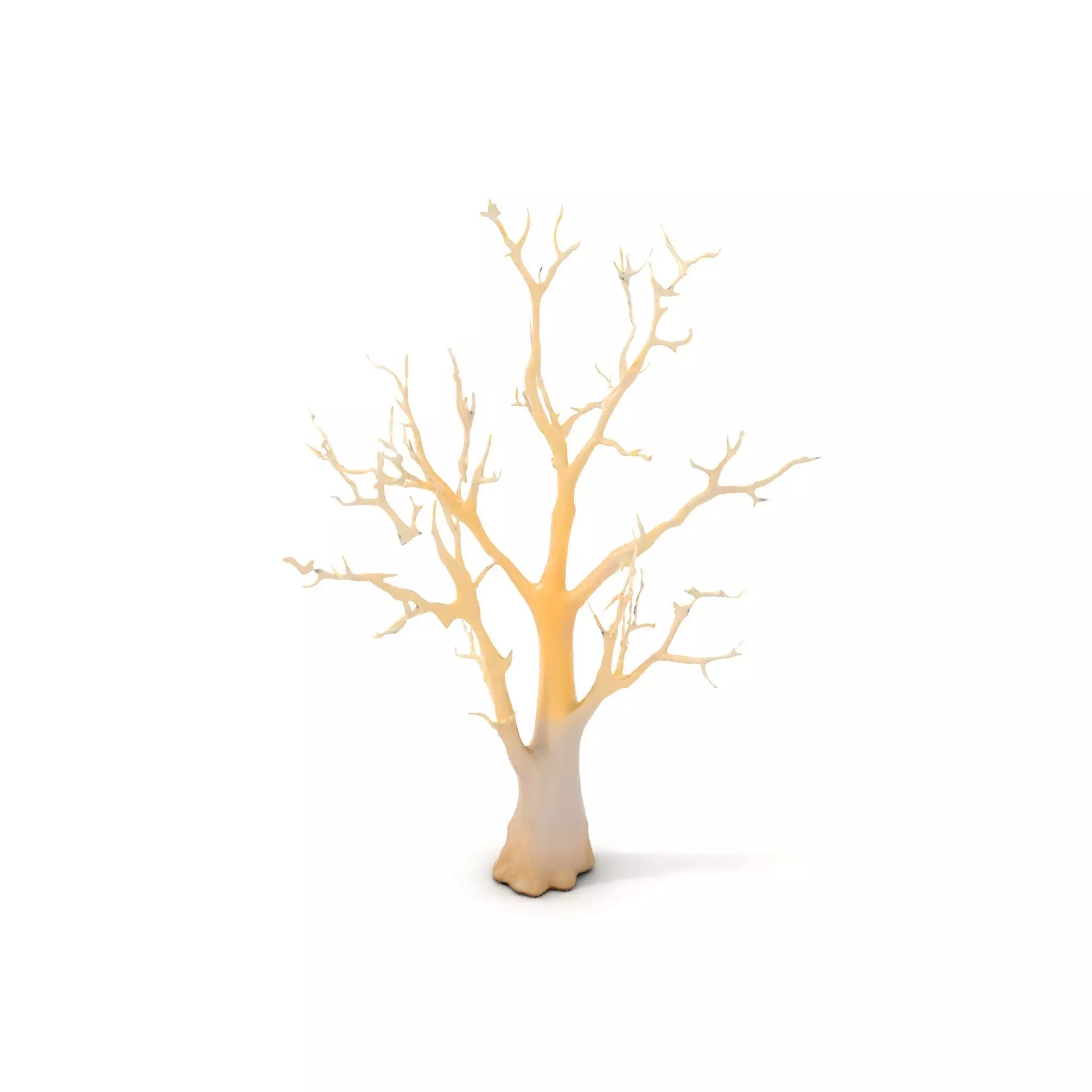 Elegant Coral Tree model pack Low-poly 3D model_0