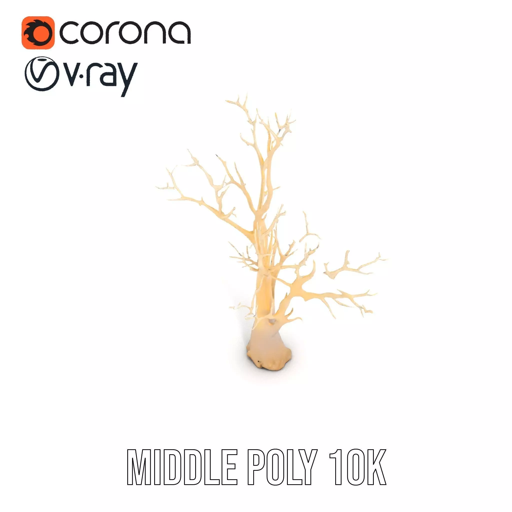 Elegant Coral Tree model pack Low-poly 3D model_11