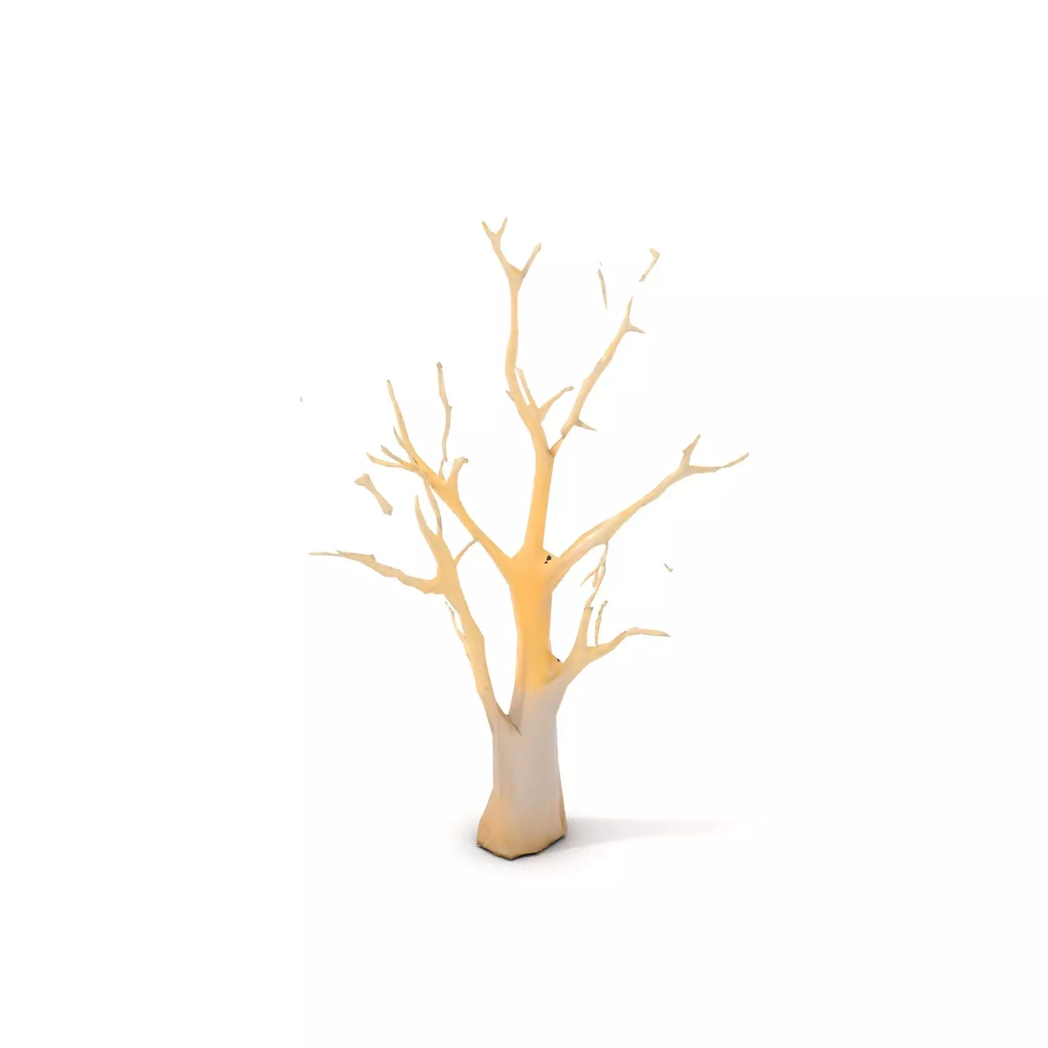 Elegant Coral Tree model pack Low-poly 3D model_9