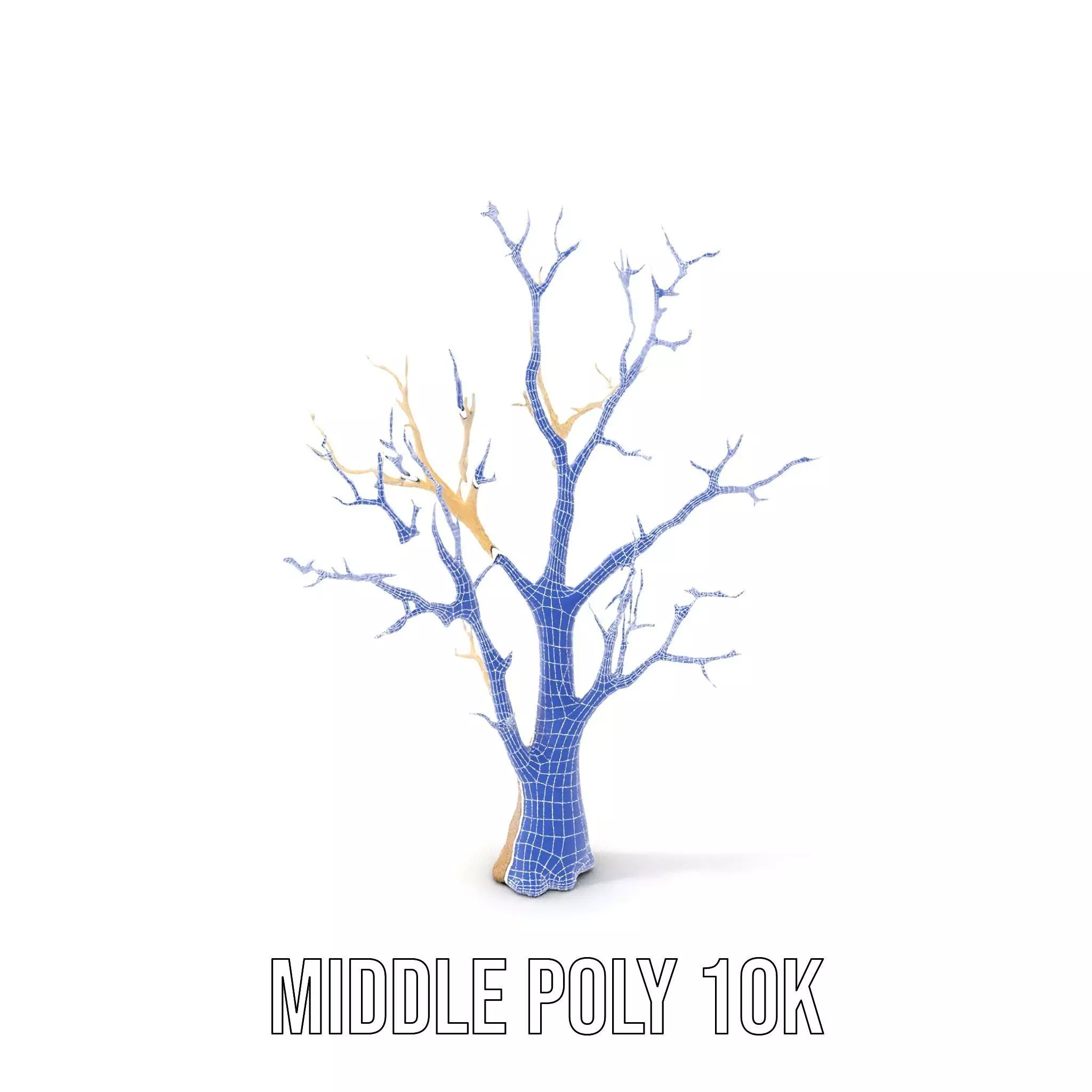 Elegant Coral Tree model pack Low-poly 3D model_18