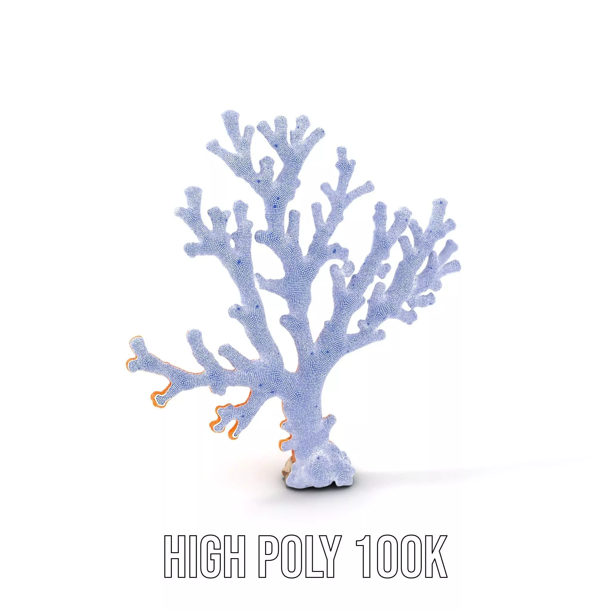 Vibrant Coral Reef model pack Low-poly 3D model_4