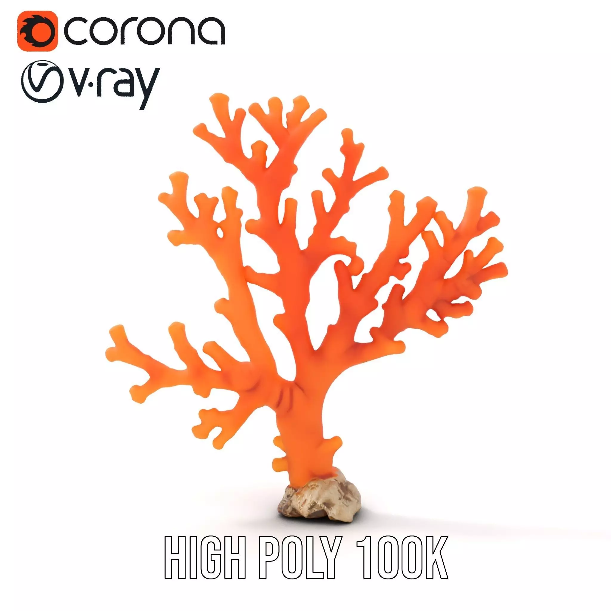 Vibrant Coral Reef model pack Low-poly 3D model_26