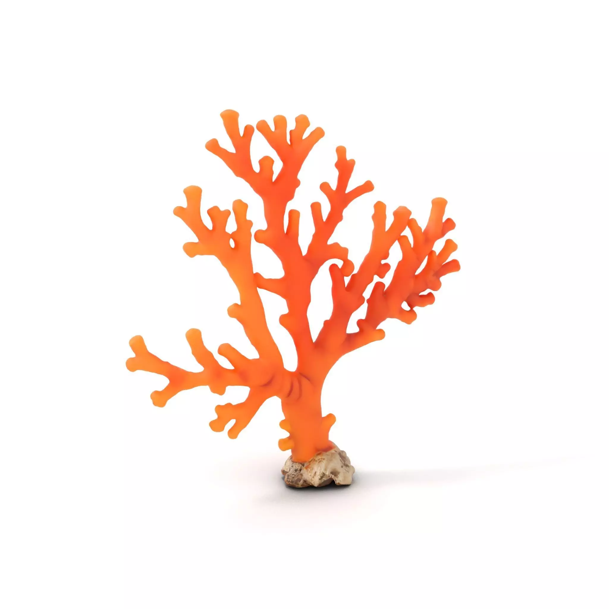Vibrant Coral Reef model pack Low-poly 3D model_0