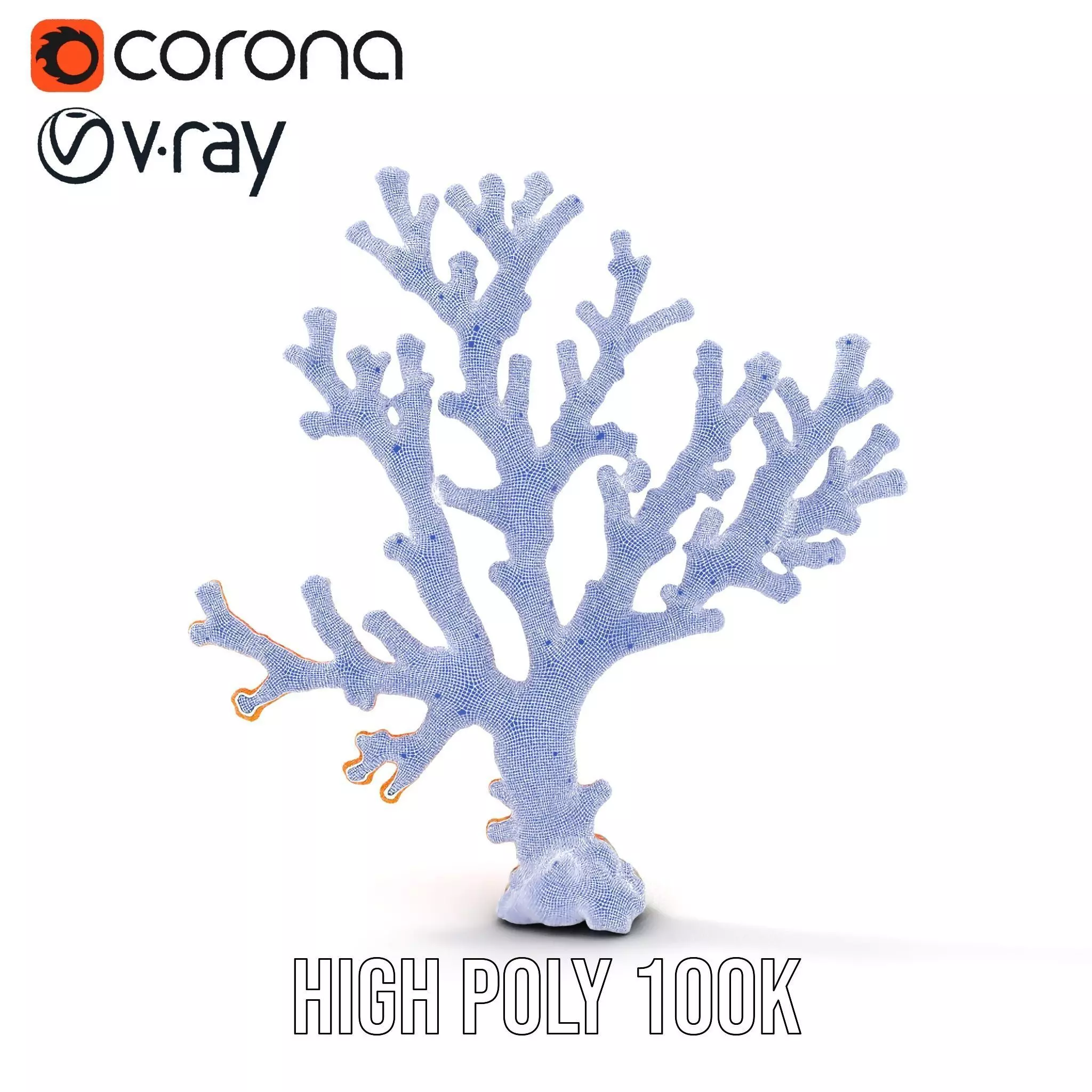 Vibrant Coral Reef model pack Low-poly 3D model_29