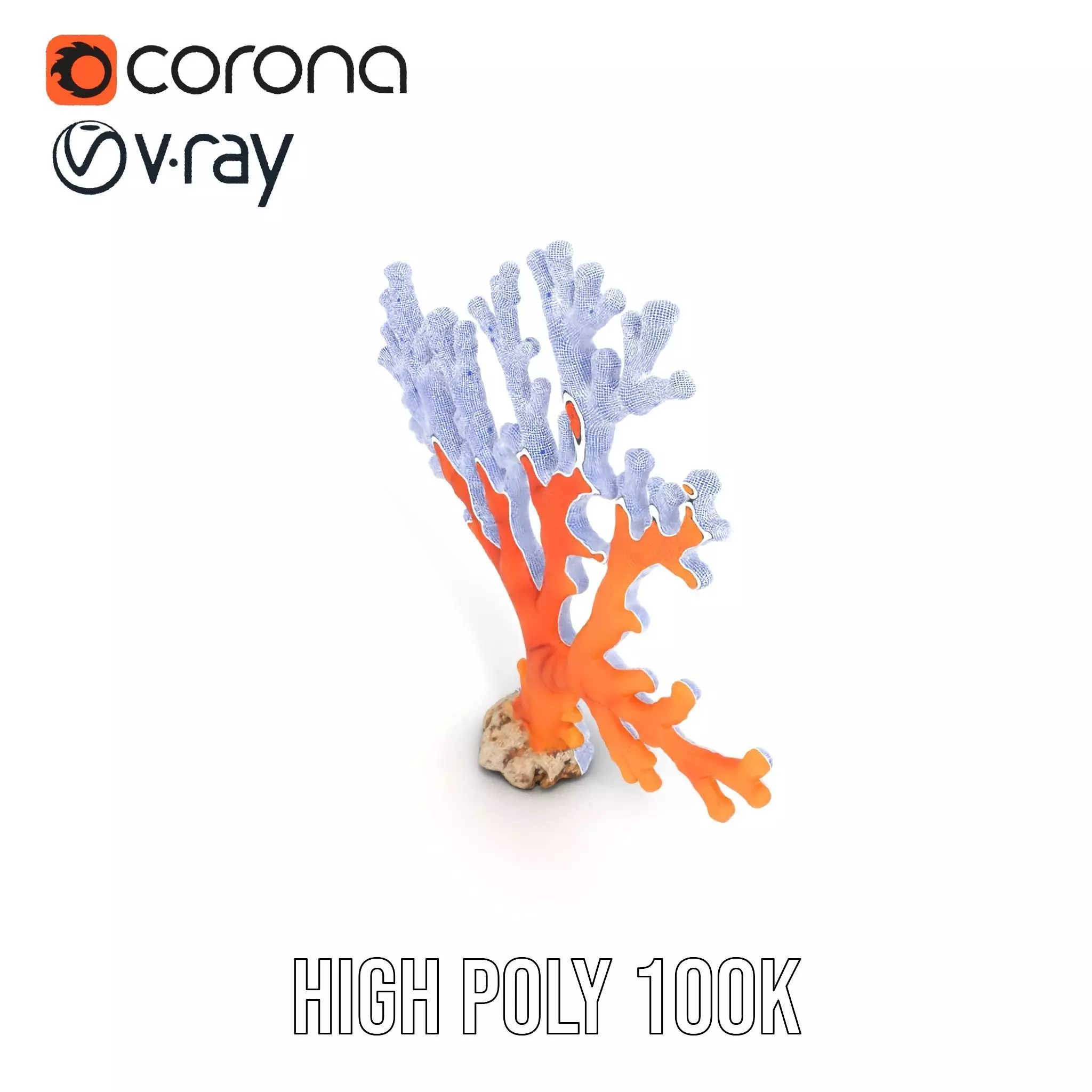 Vibrant Coral Reef model pack Low-poly 3D model_32