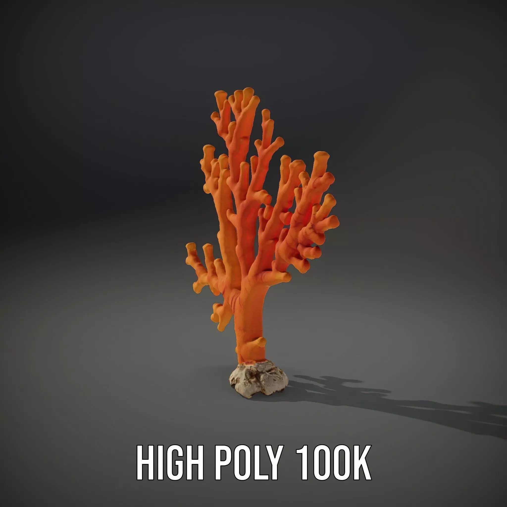 Vibrant Coral Reef model pack Low-poly 3D model_14