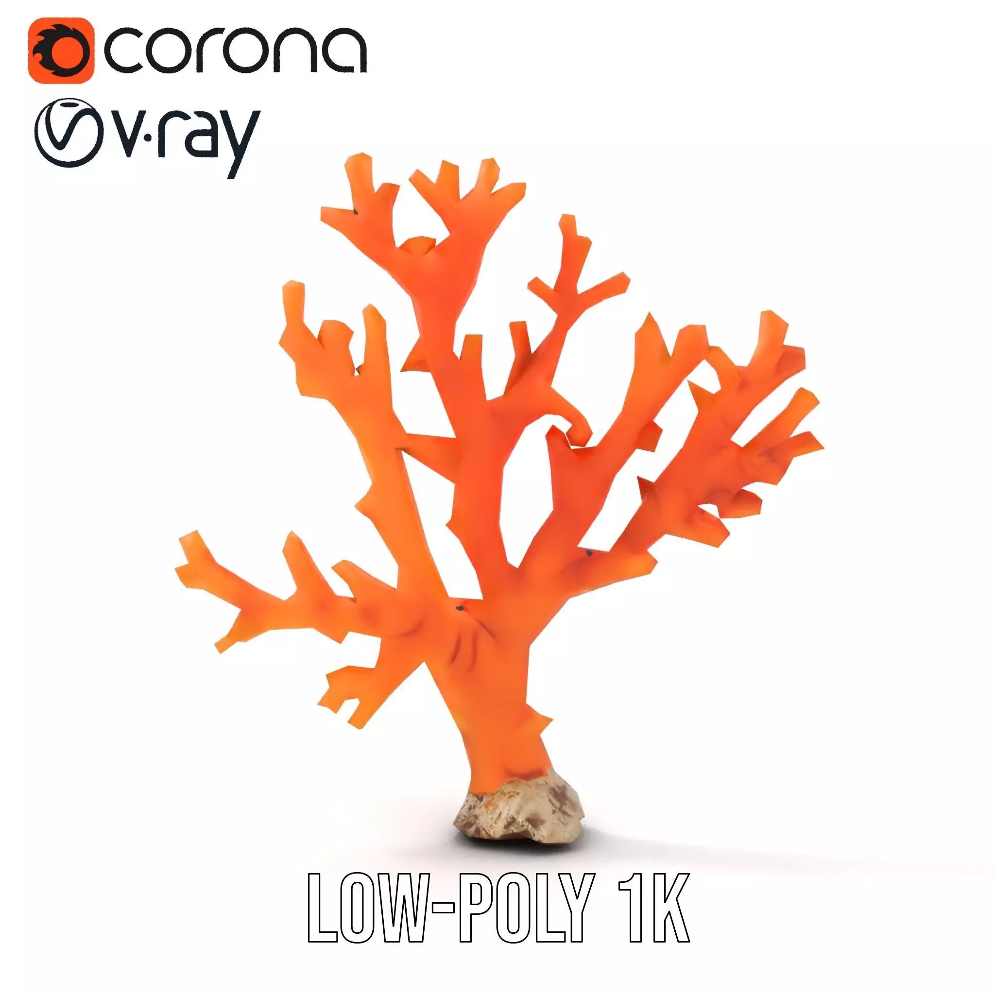 Vibrant Coral Reef model pack Low-poly 3D model_22