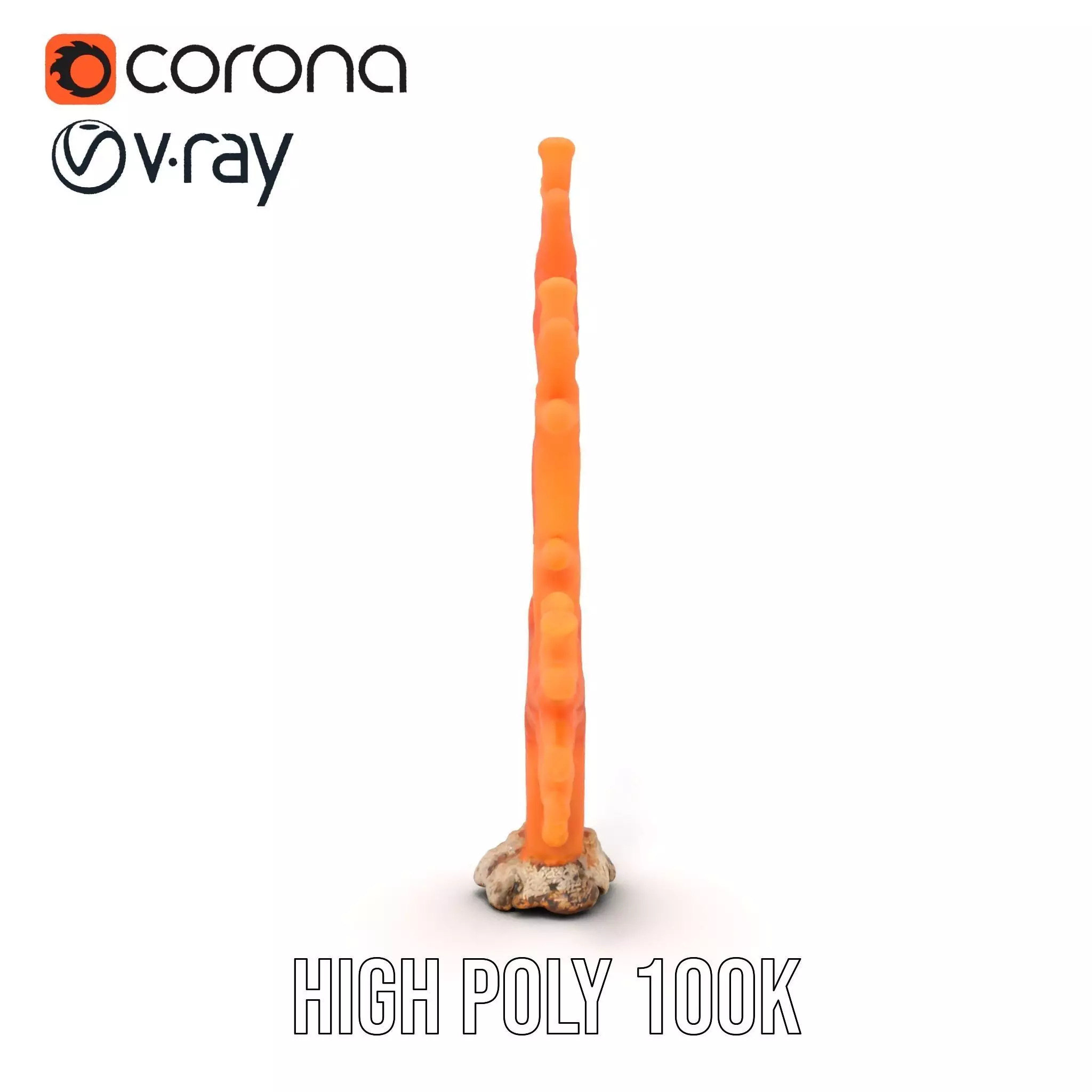 Vibrant Coral Reef model pack Low-poly 3D model_23