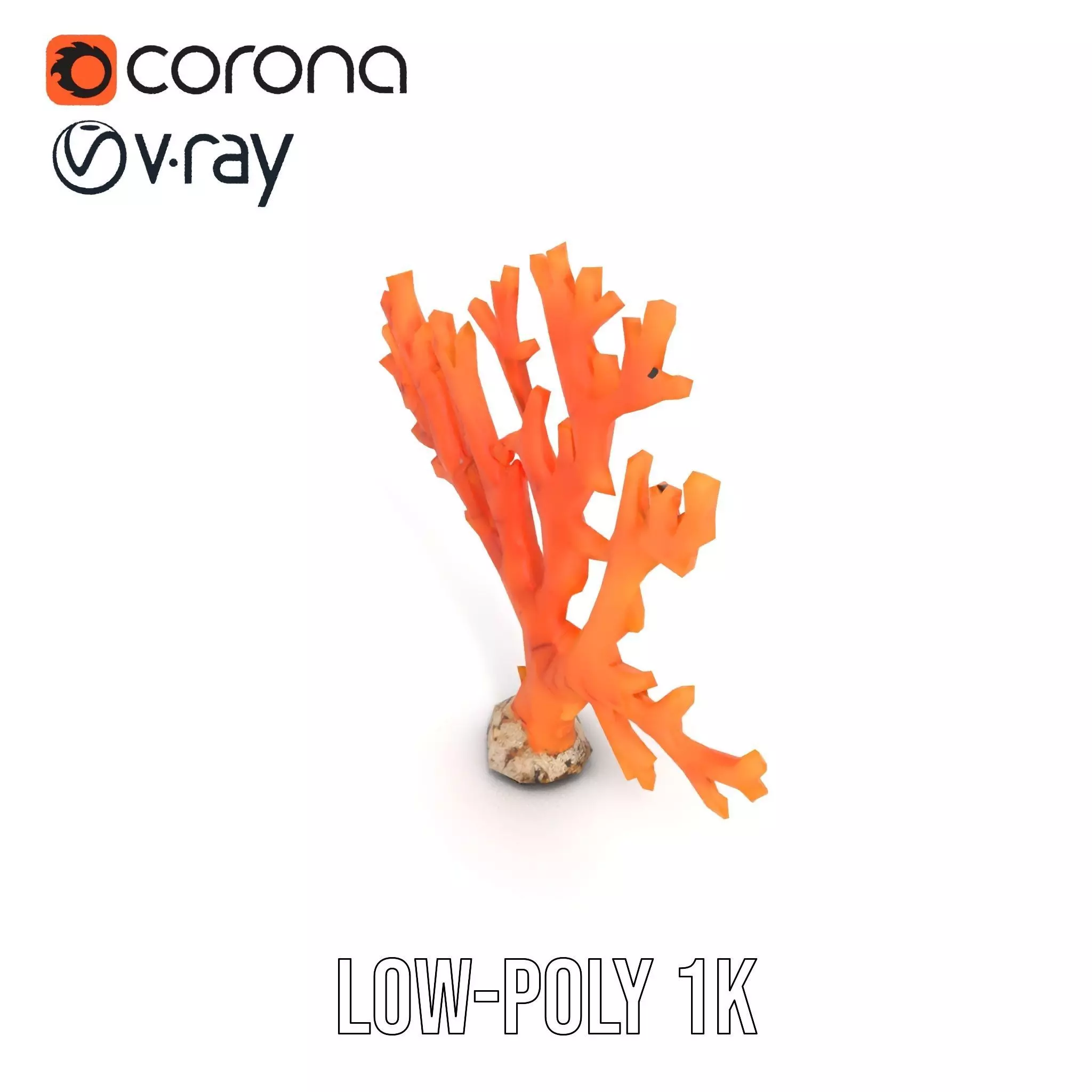Vibrant Coral Reef model pack Low-poly 3D model_13