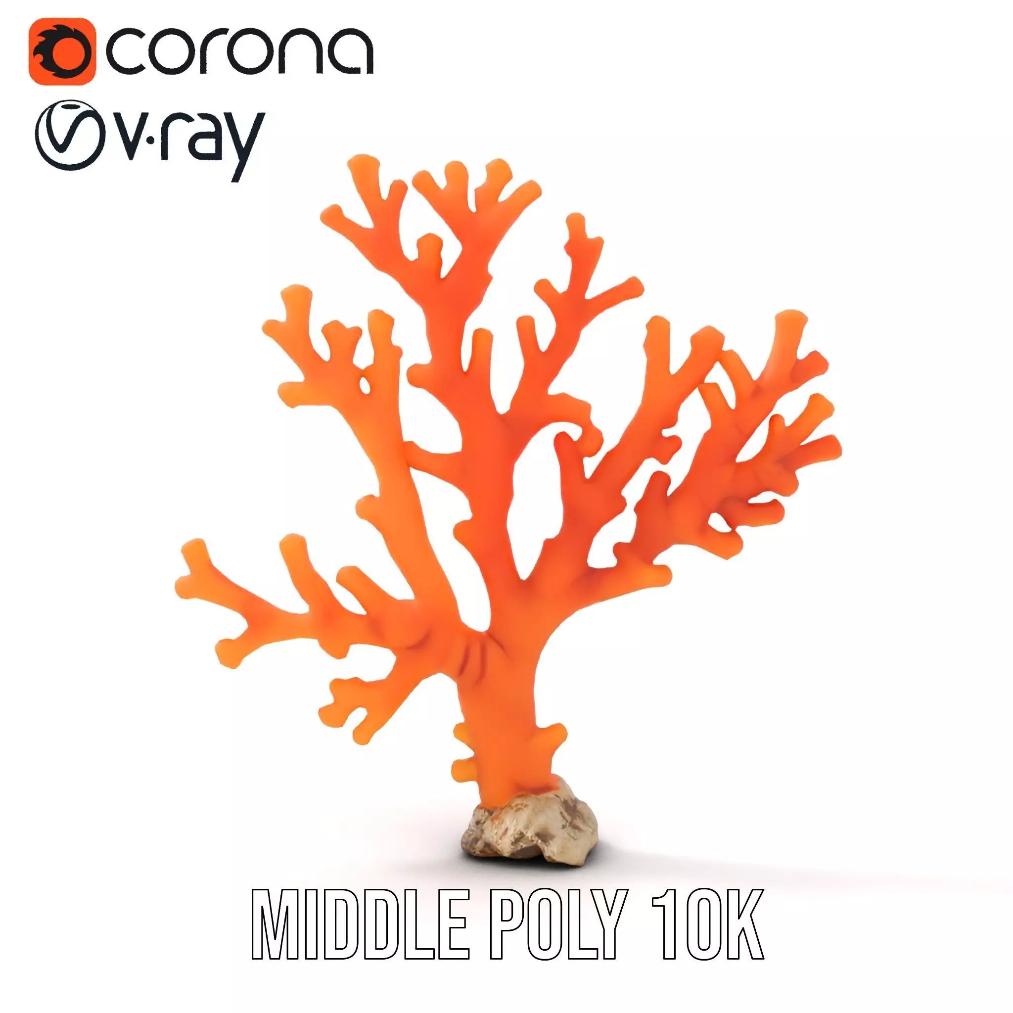 Vibrant Coral Reef model pack Low-poly 3D model_5