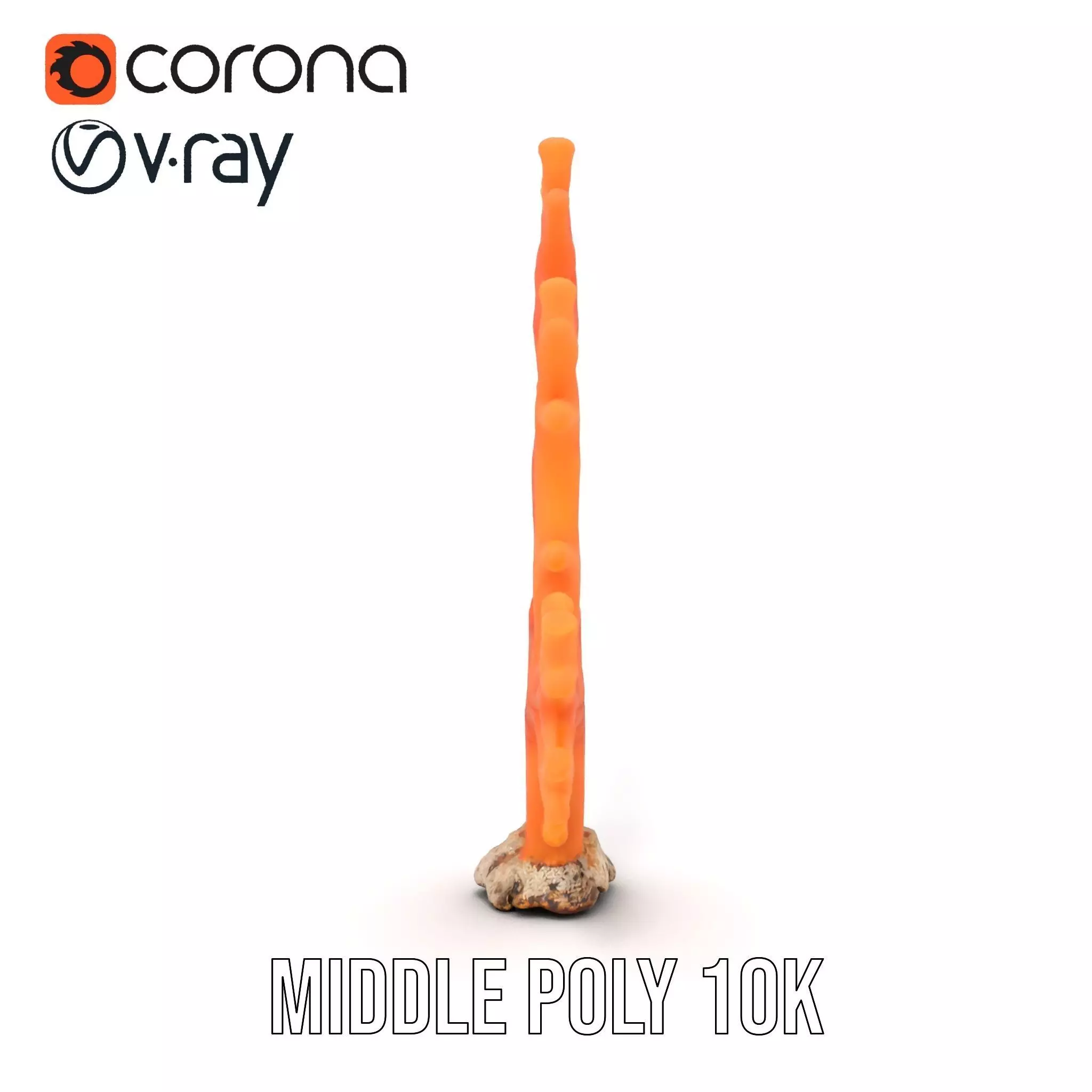 Vibrant Coral Reef model pack Low-poly 3D model_6