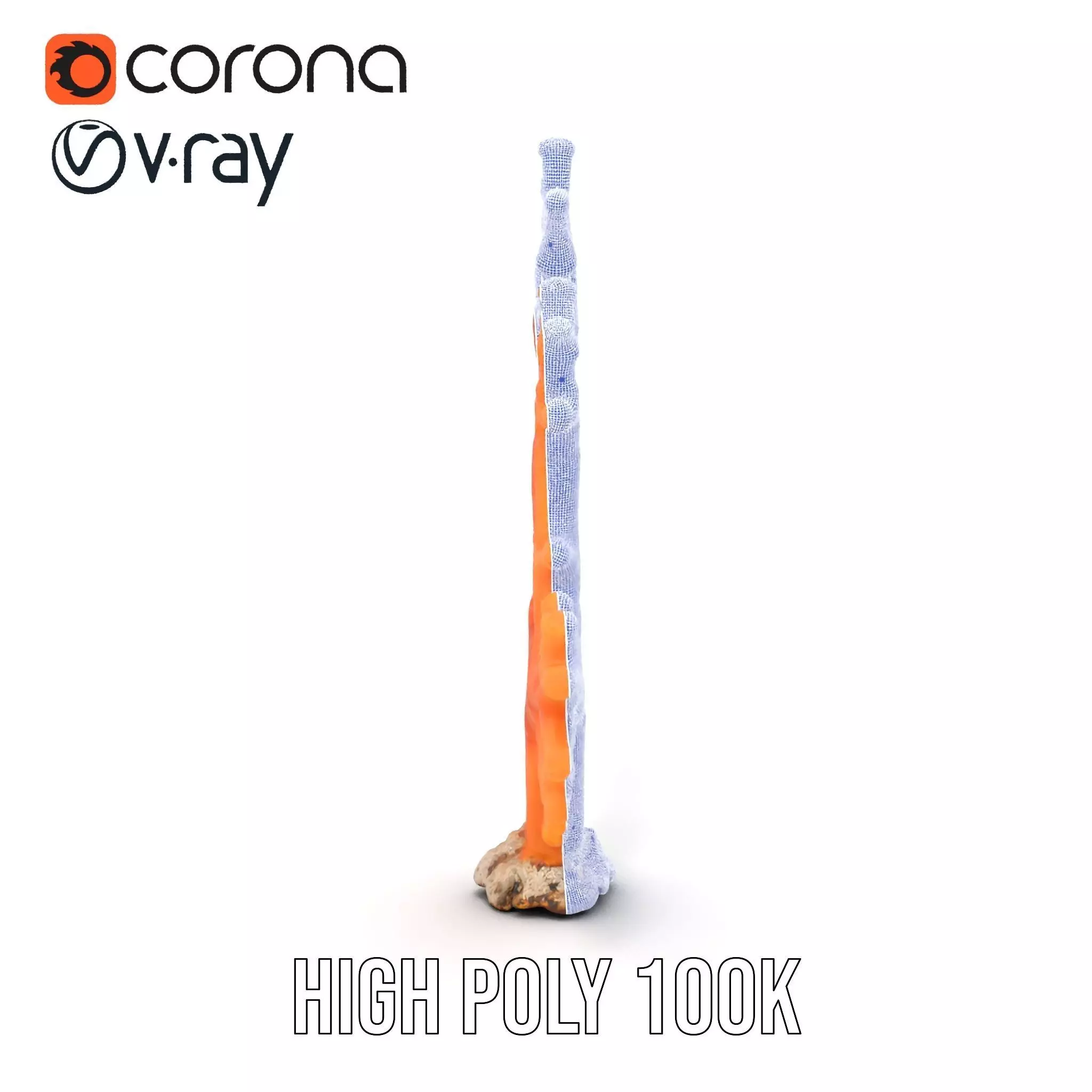 Vibrant Coral Reef model pack Low-poly 3D model_33