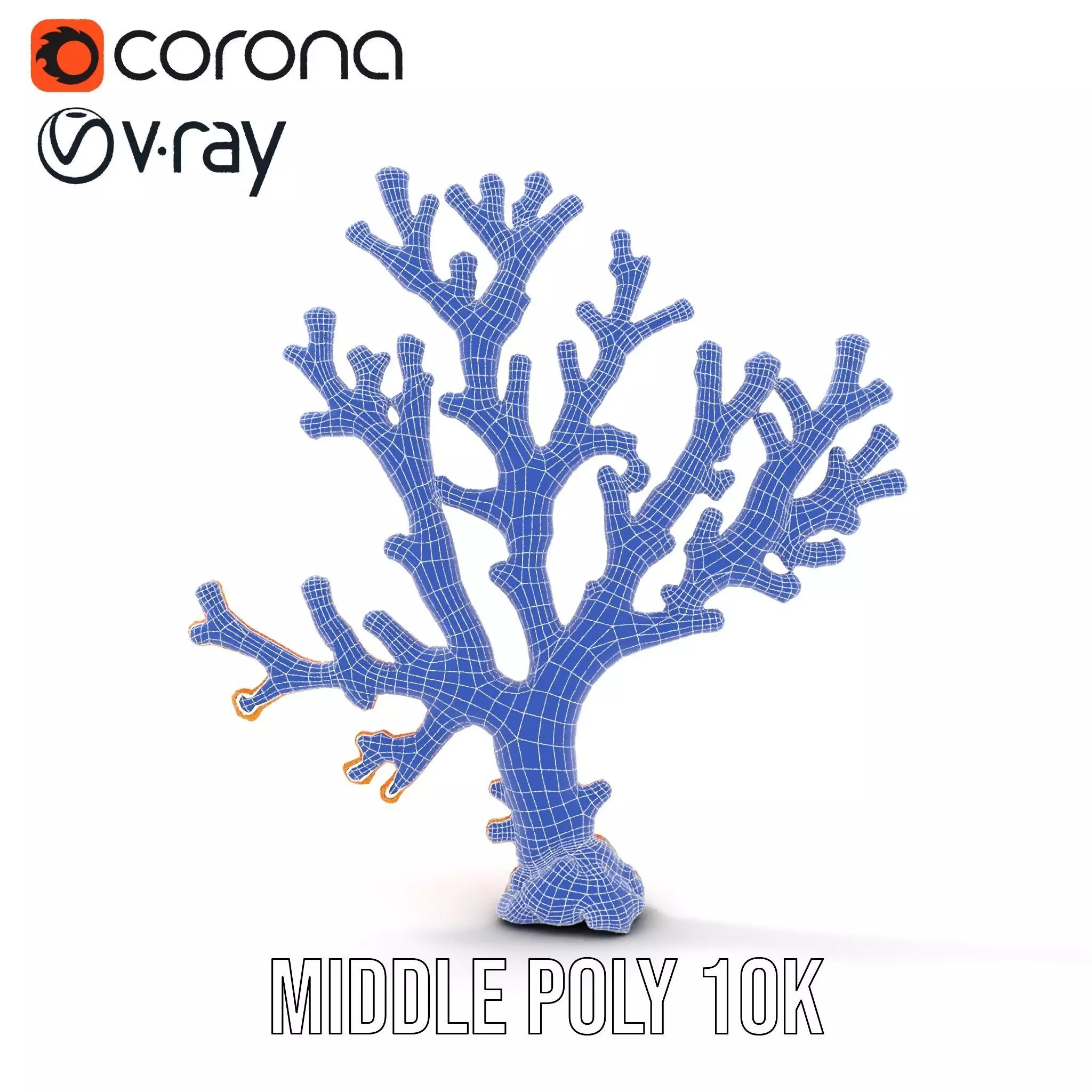 Vibrant Coral Reef model pack Low-poly 3D model_18
