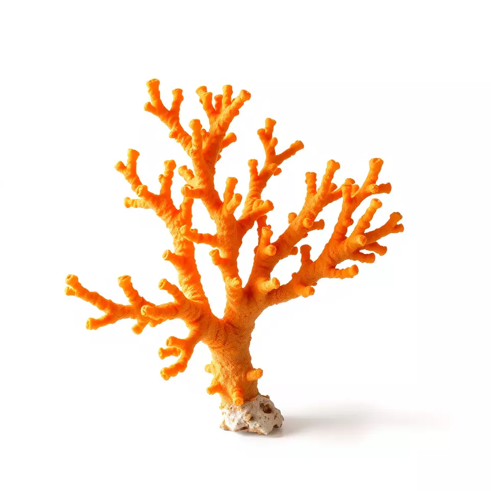Vibrant Coral Reef model pack Low-poly 3D model_2