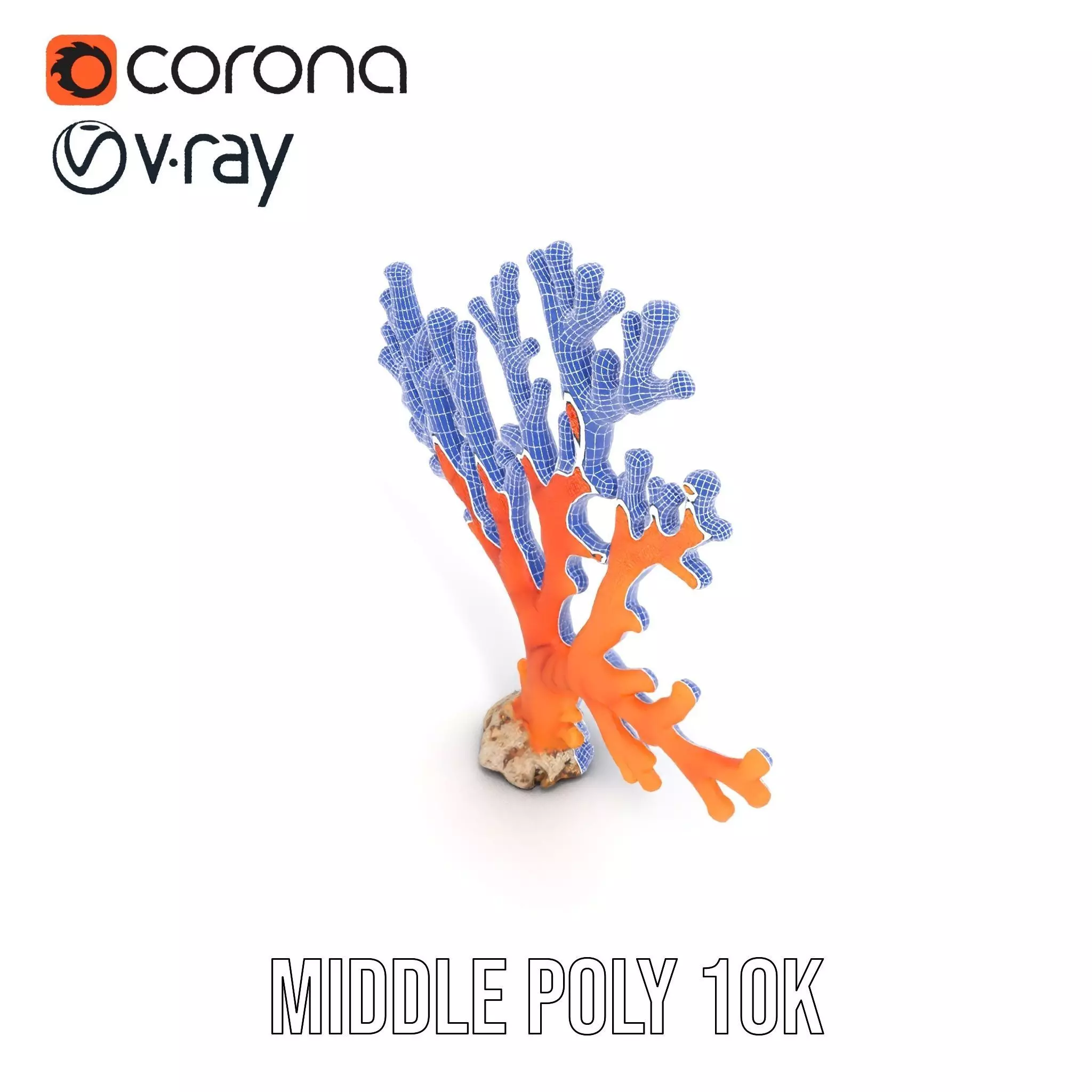 Vibrant Coral Reef model pack Low-poly 3D model_24