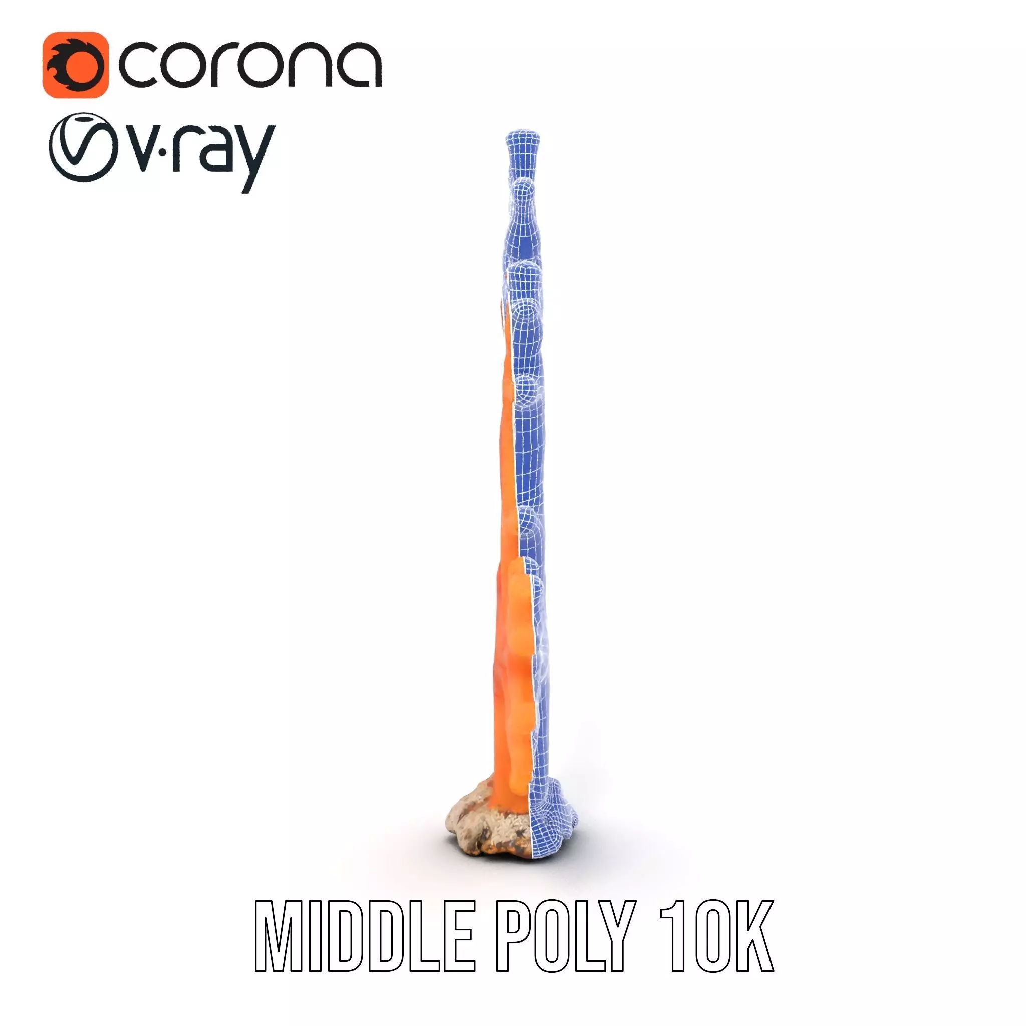 Vibrant Coral Reef model pack Low-poly 3D model_30