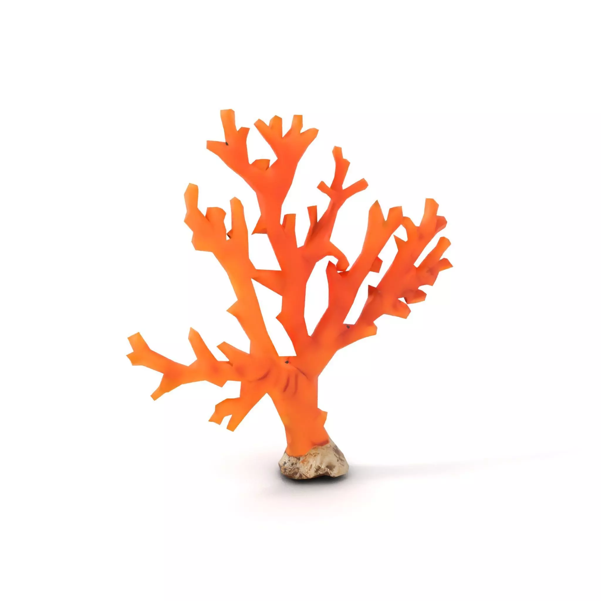 Vibrant Coral Reef model pack Low-poly 3D model_7