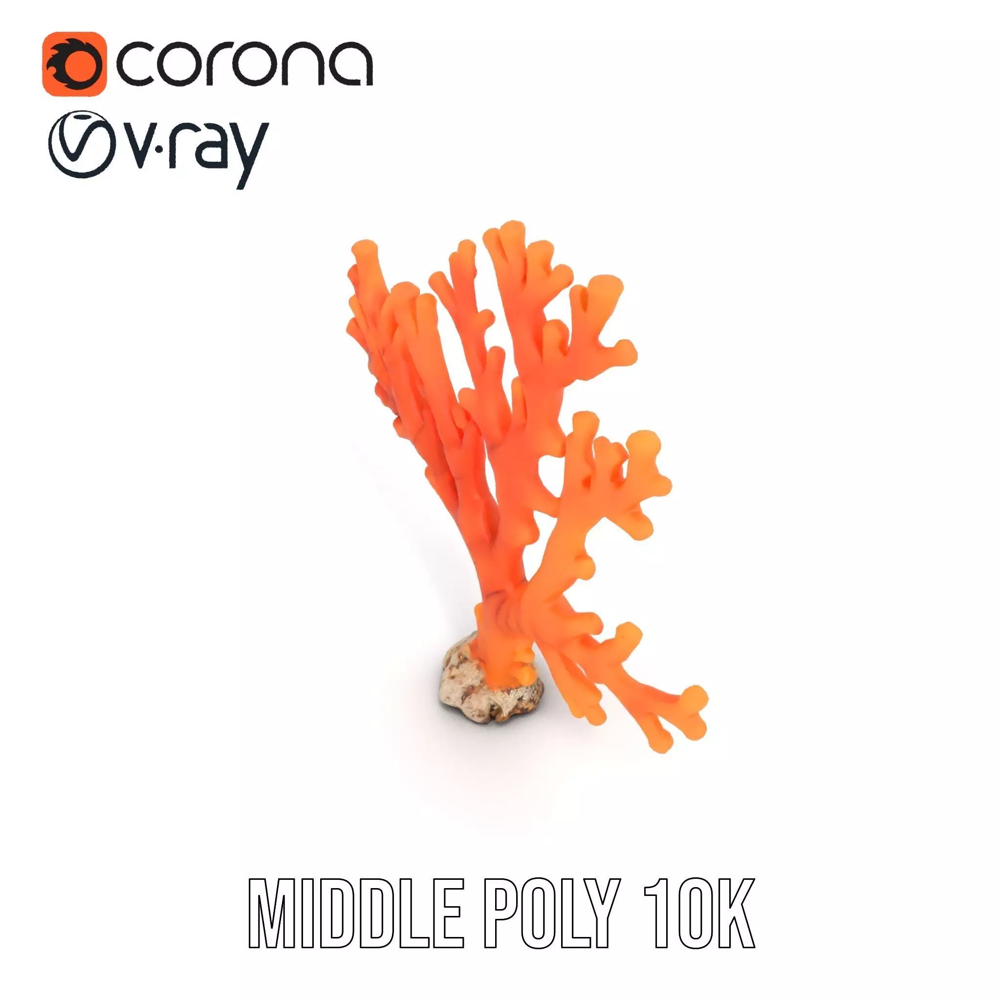 Vibrant Coral Reef model pack Low-poly 3D model_12