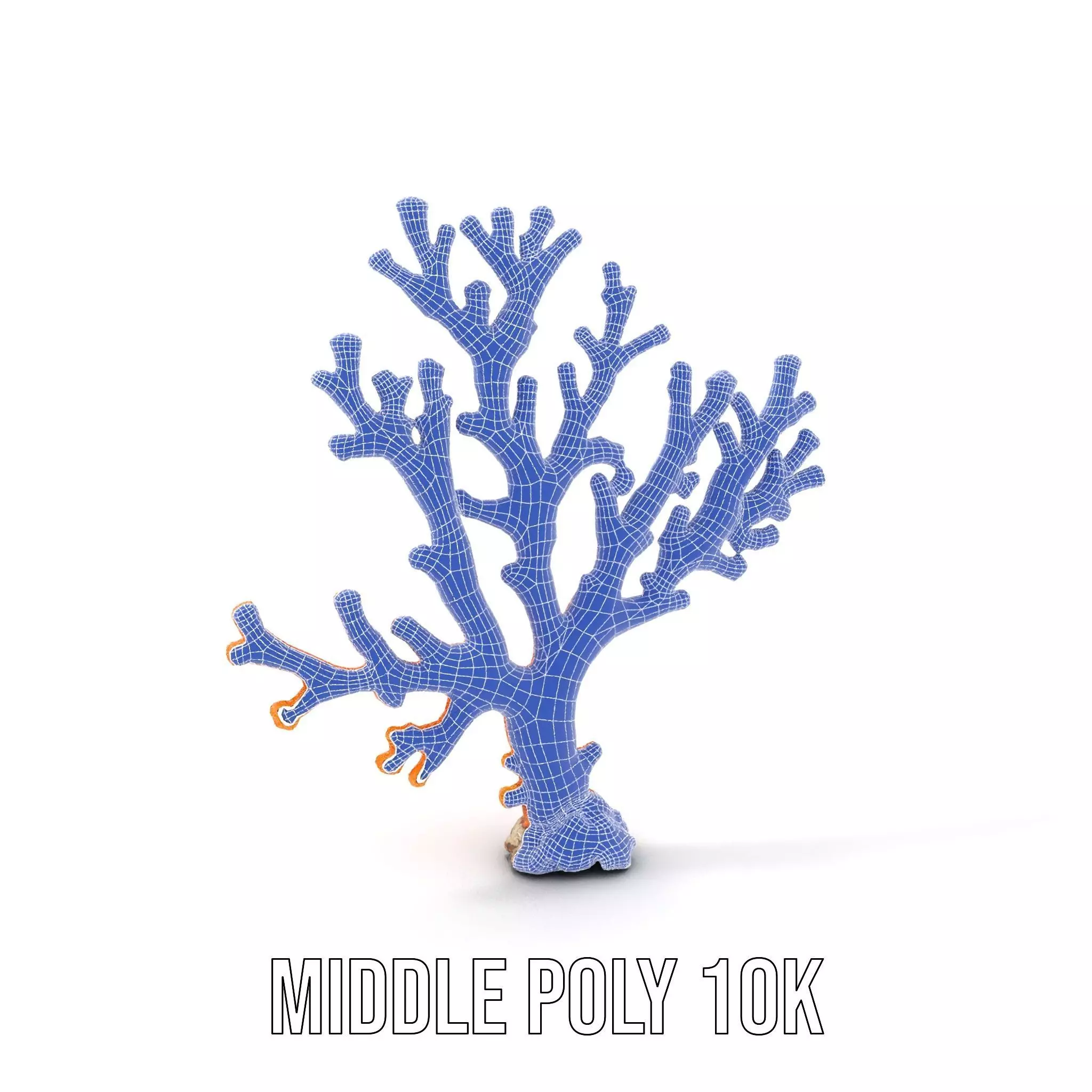 Vibrant Coral Reef model pack Low-poly 3D model_21