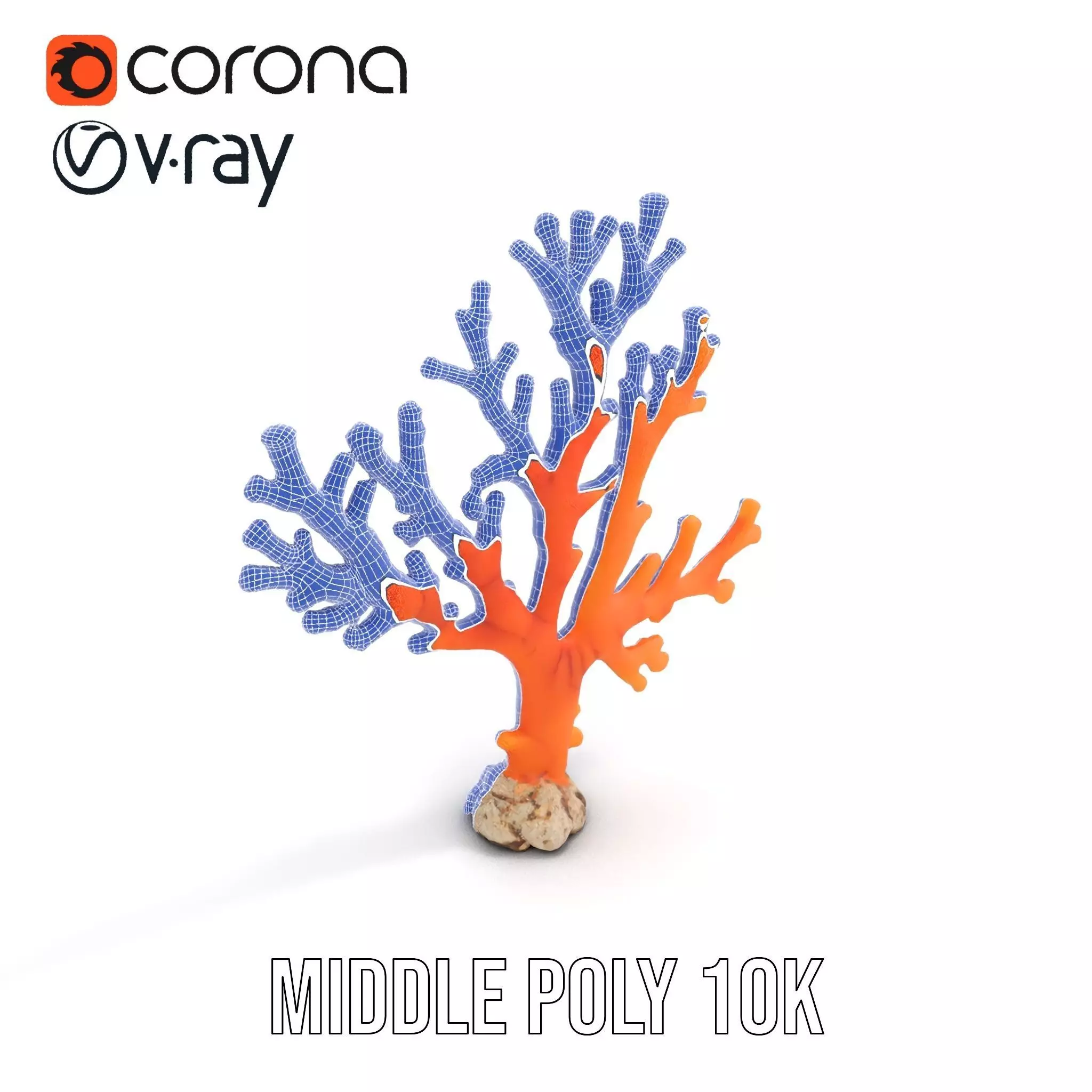 Vibrant Coral Reef model pack Low-poly 3D model_27