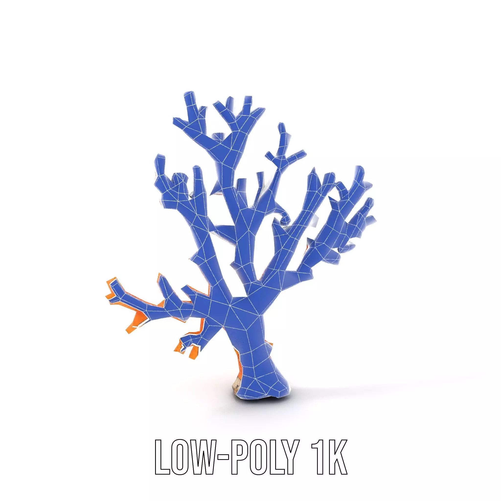 Vibrant Coral Reef model pack Low-poly 3D model_31
