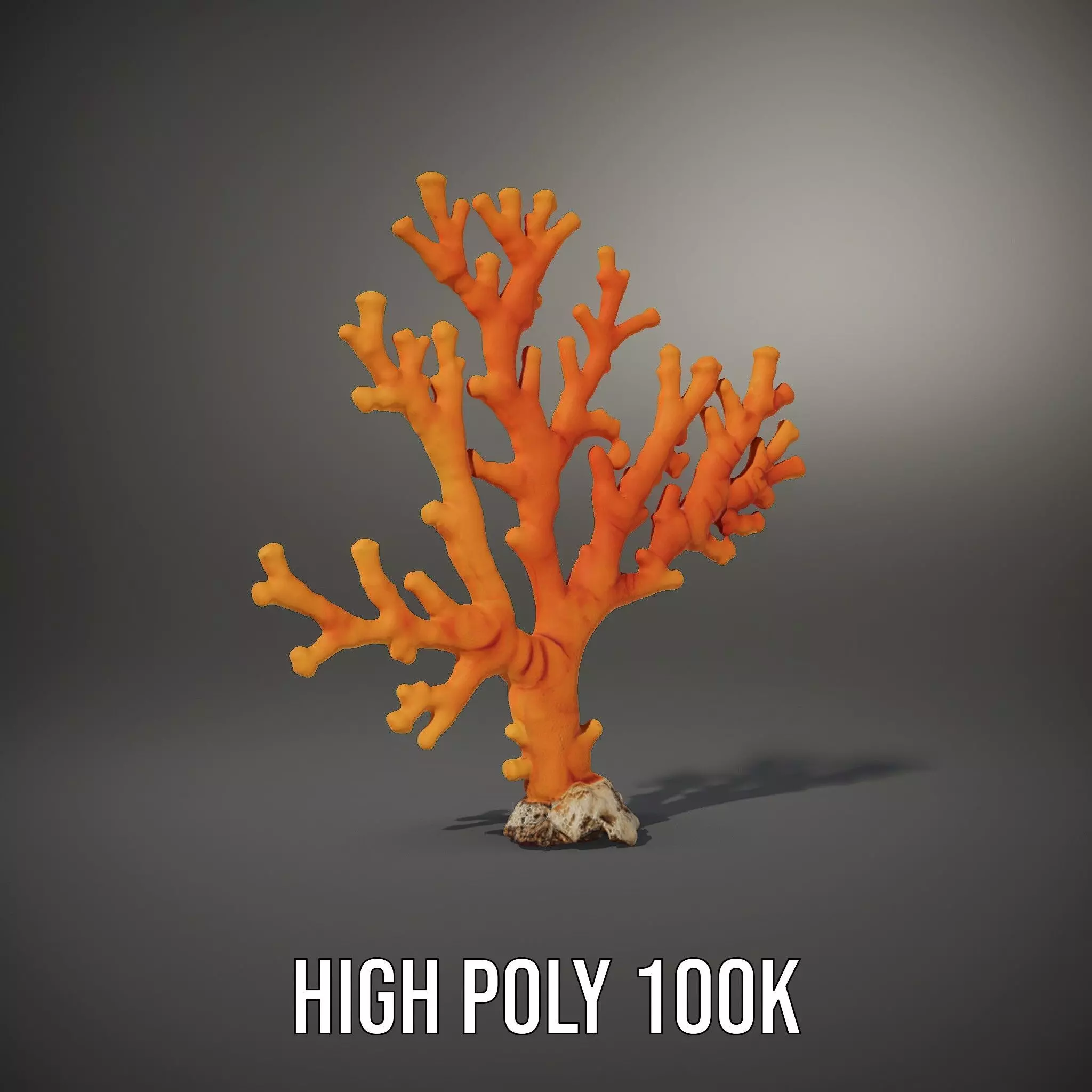 Vibrant Coral Reef model pack Low-poly 3D model_9