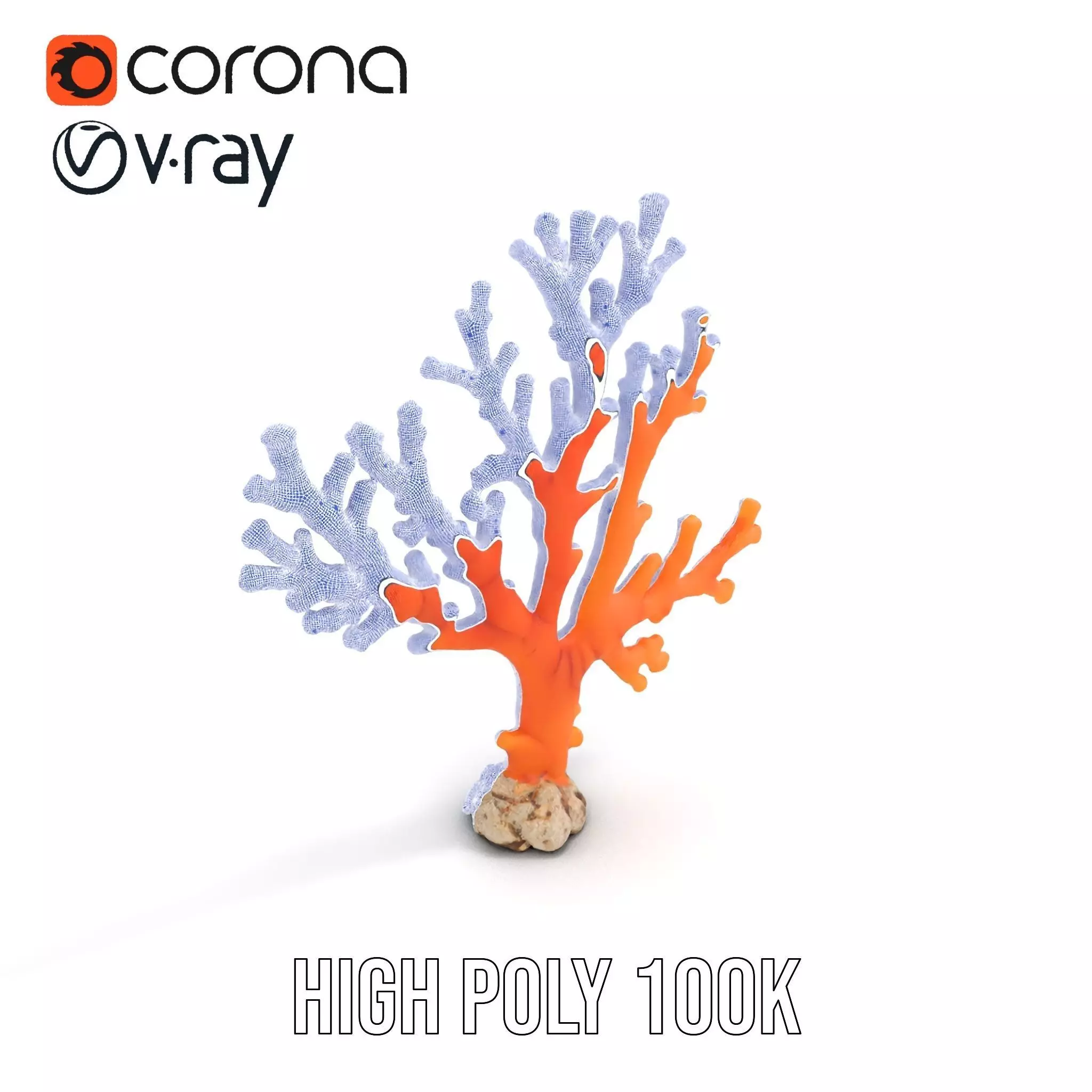 Vibrant Coral Reef model pack Low-poly 3D model_34