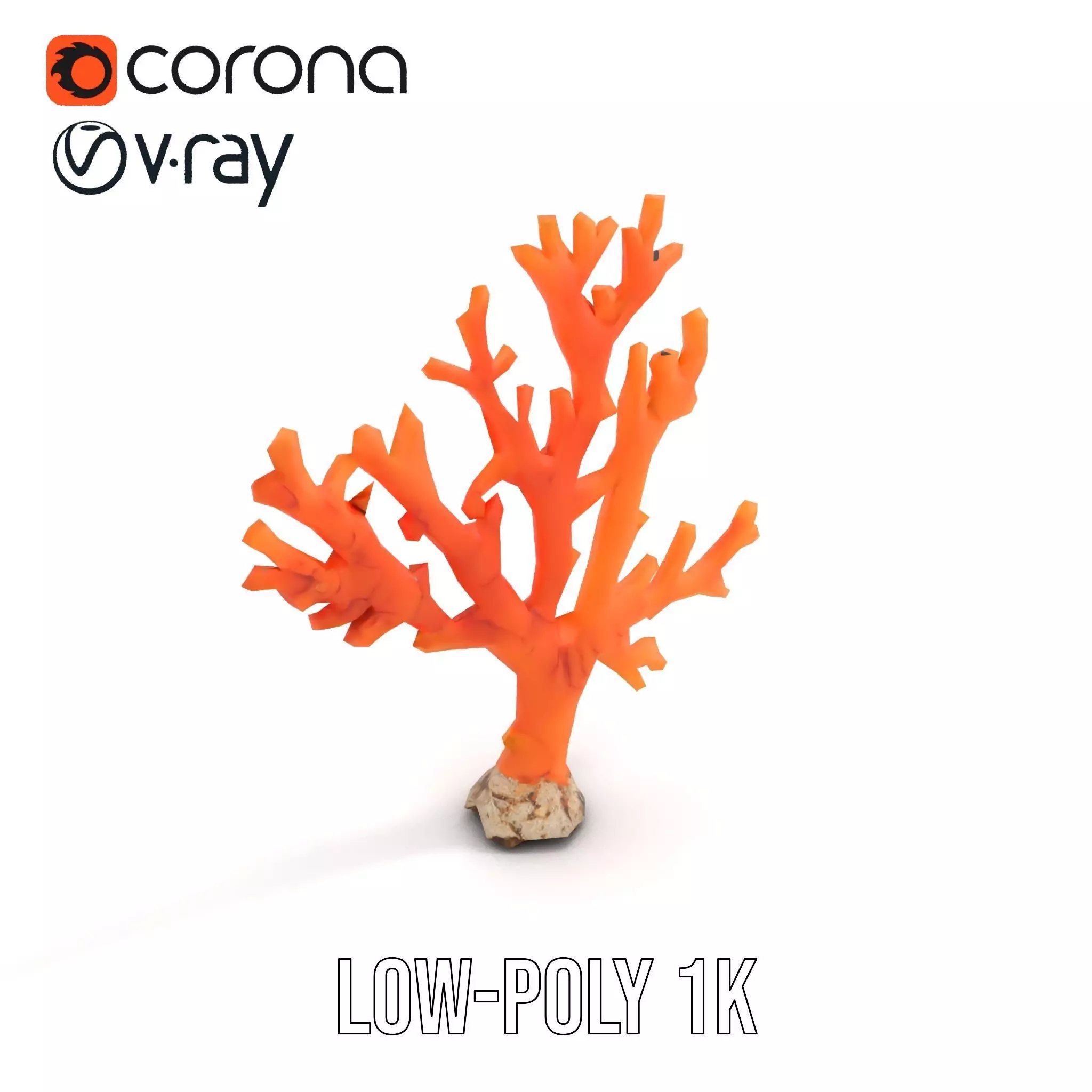 Vibrant Coral Reef model pack Low-poly 3D model_8