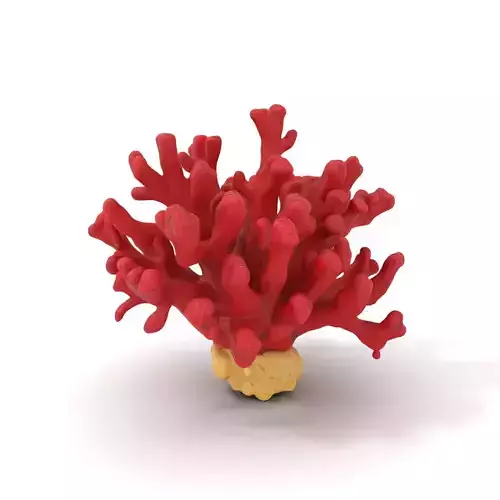 Vibrant Red Coral model pack