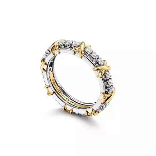 Tiffany Diamond Band Ring with Gold Detailing Luxury Jewelry