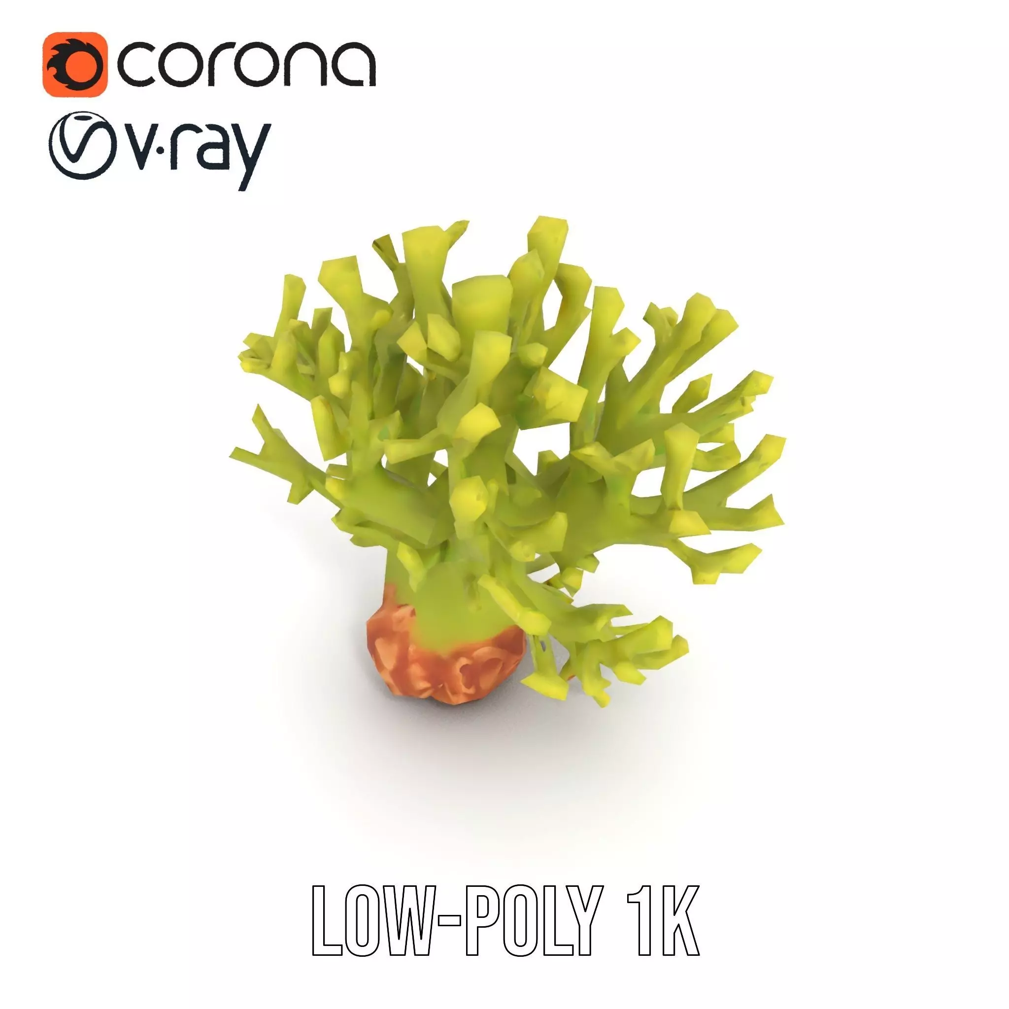 Vibrant Green Coral model pack Low-poly 3D model_22