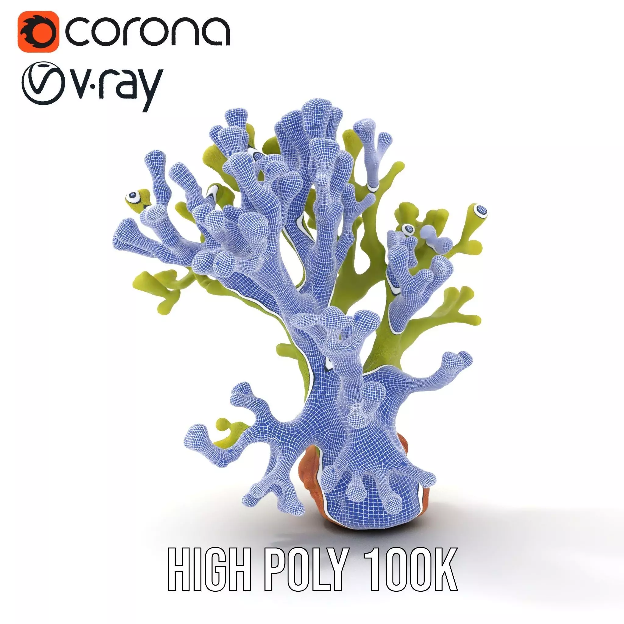 Vibrant Green Coral model pack Low-poly 3D model_33